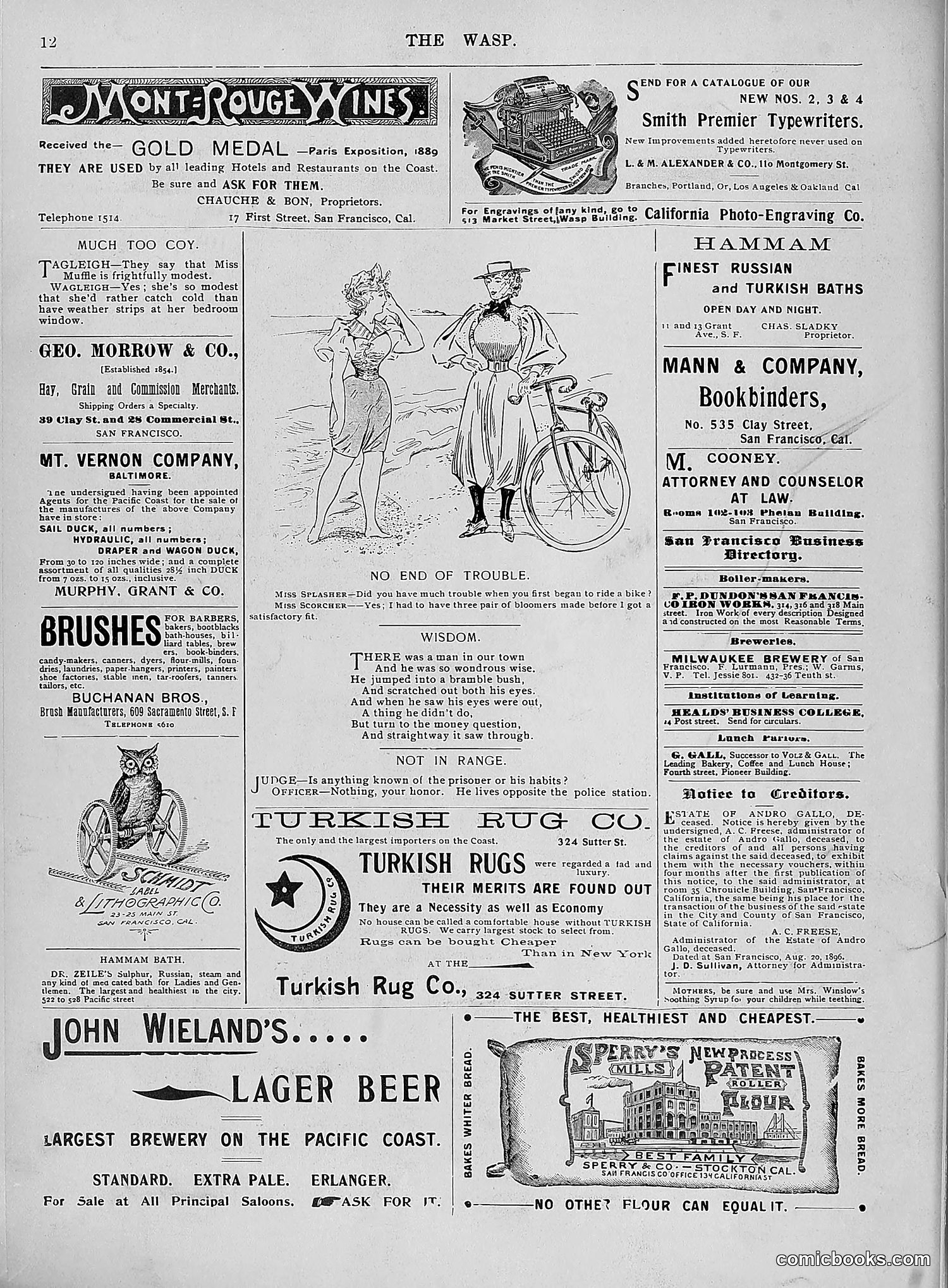The Wasp — 1896 — page 757 of 1082