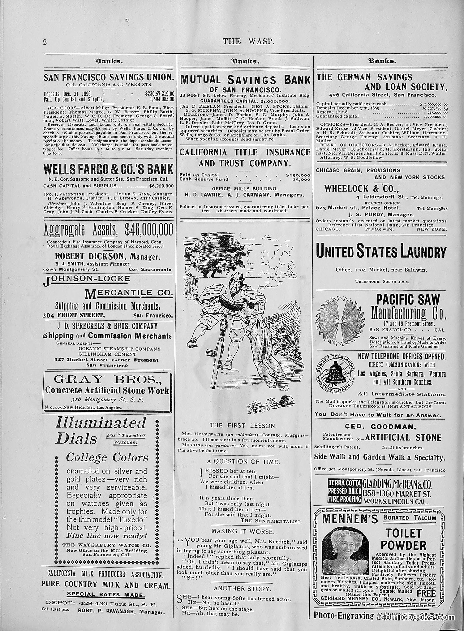 The Wasp — 1896 — page 787 of 1082