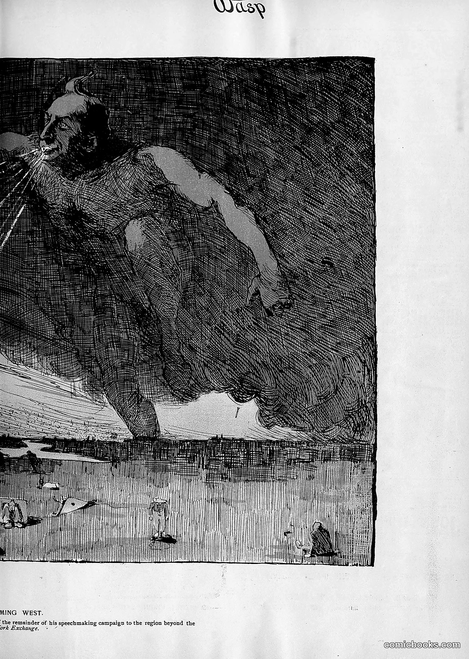 The Wasp — 1896 — page 796 of 1082