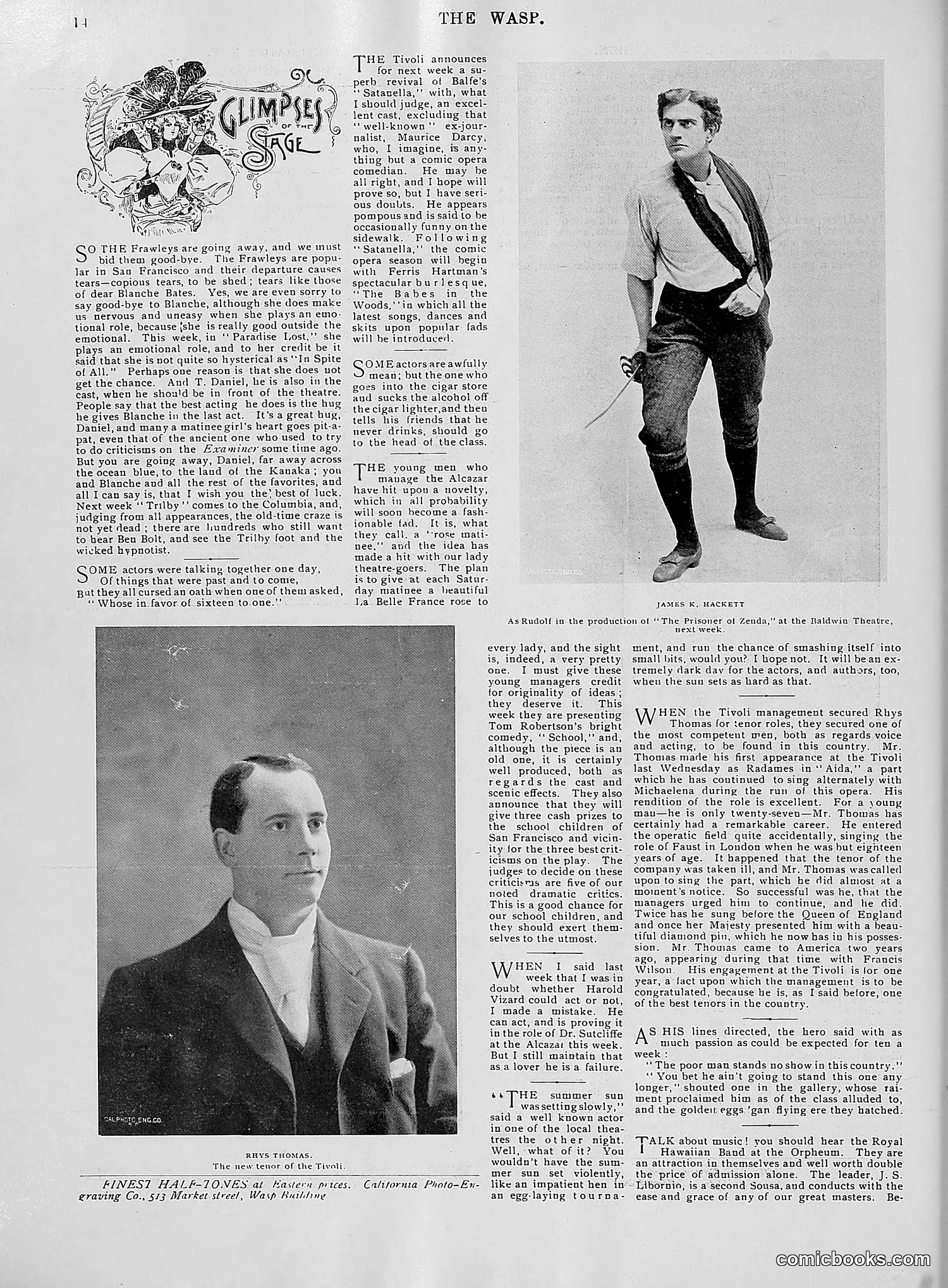 The Wasp — 1896 — page 799 of 1082