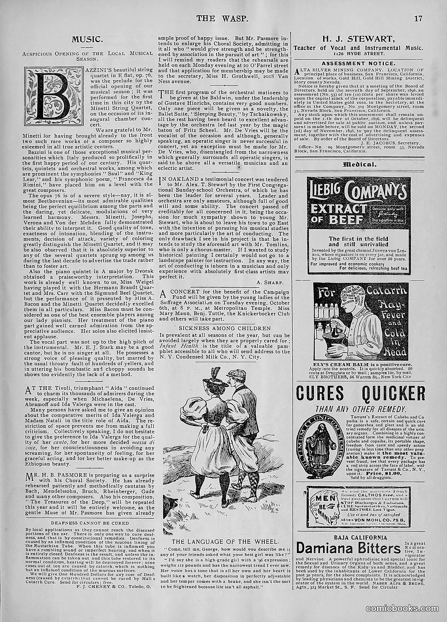 The Wasp — 1896 — page 802 of 1082