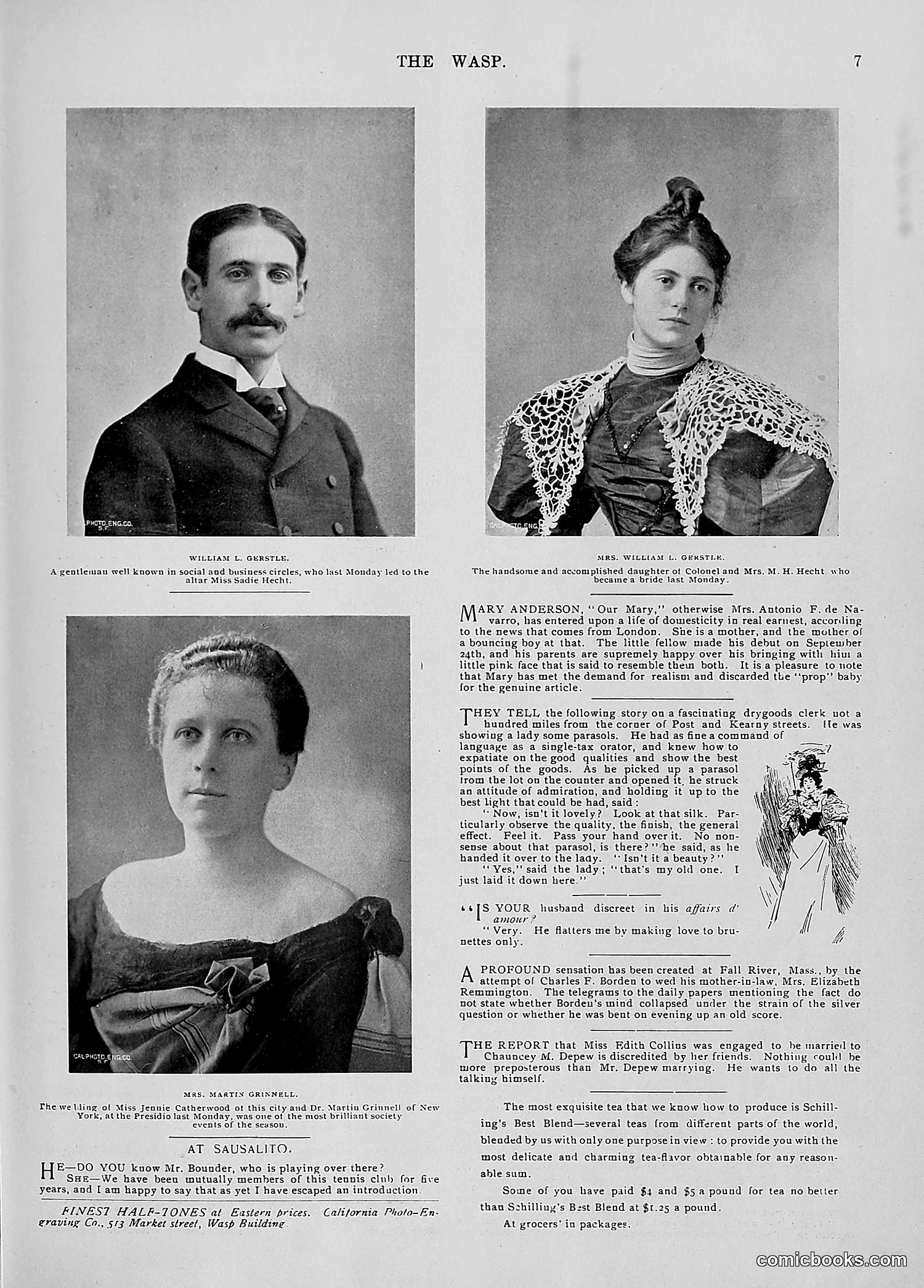 The Wasp — 1896 — page 810 of 1082