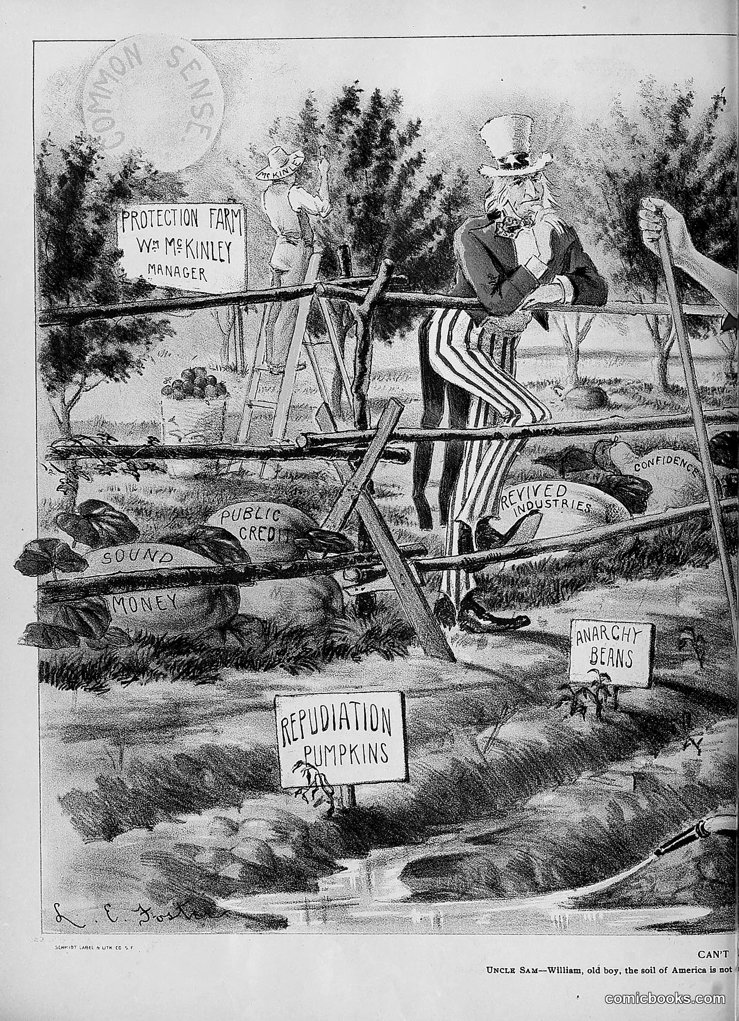 The Wasp — 1896 — page 813 of 1082