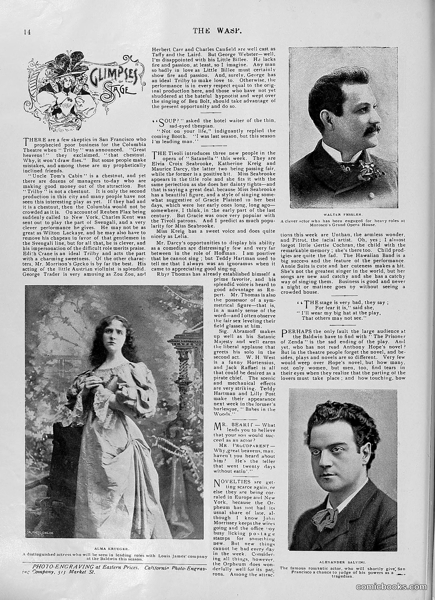 The Wasp — 1896 — page 817 of 1082