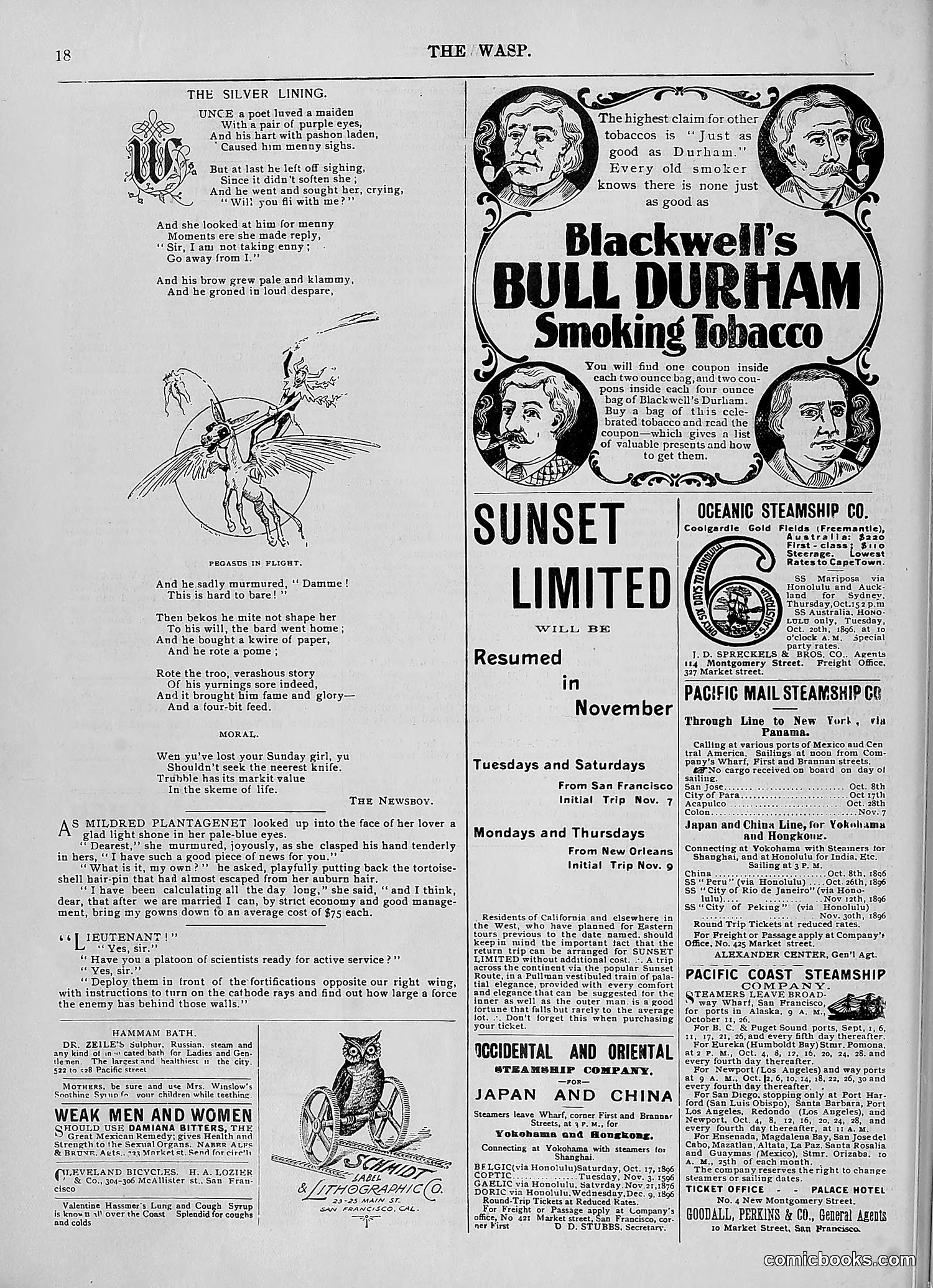 The Wasp — 1896 — page 821 of 1082