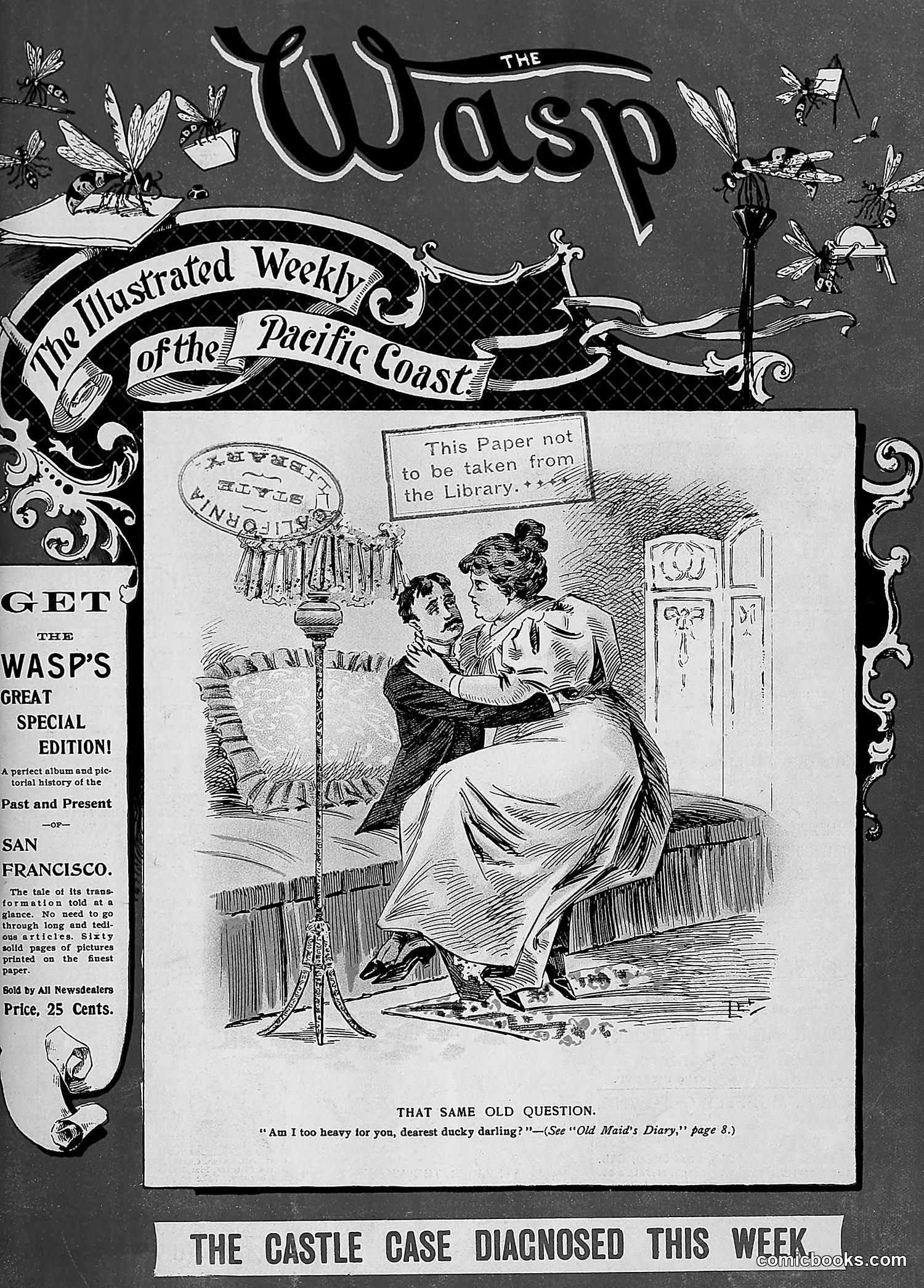 The Wasp — 1896 — page 824 of 1082