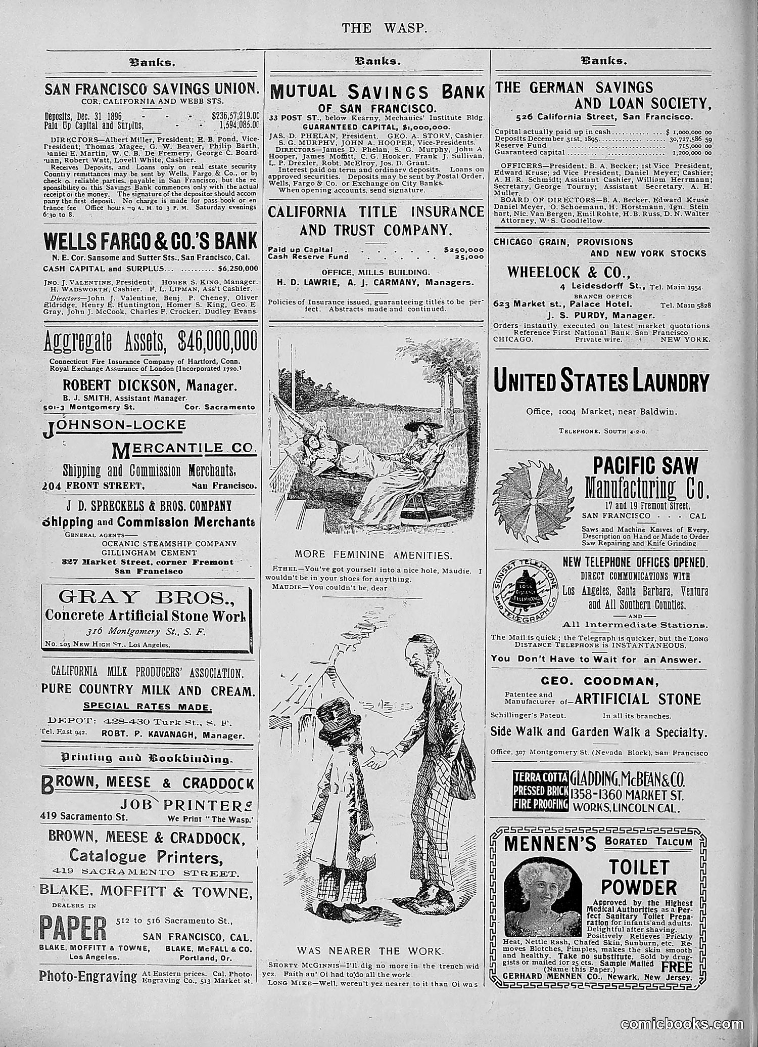 The Wasp — 1896 — page 825 of 1082
