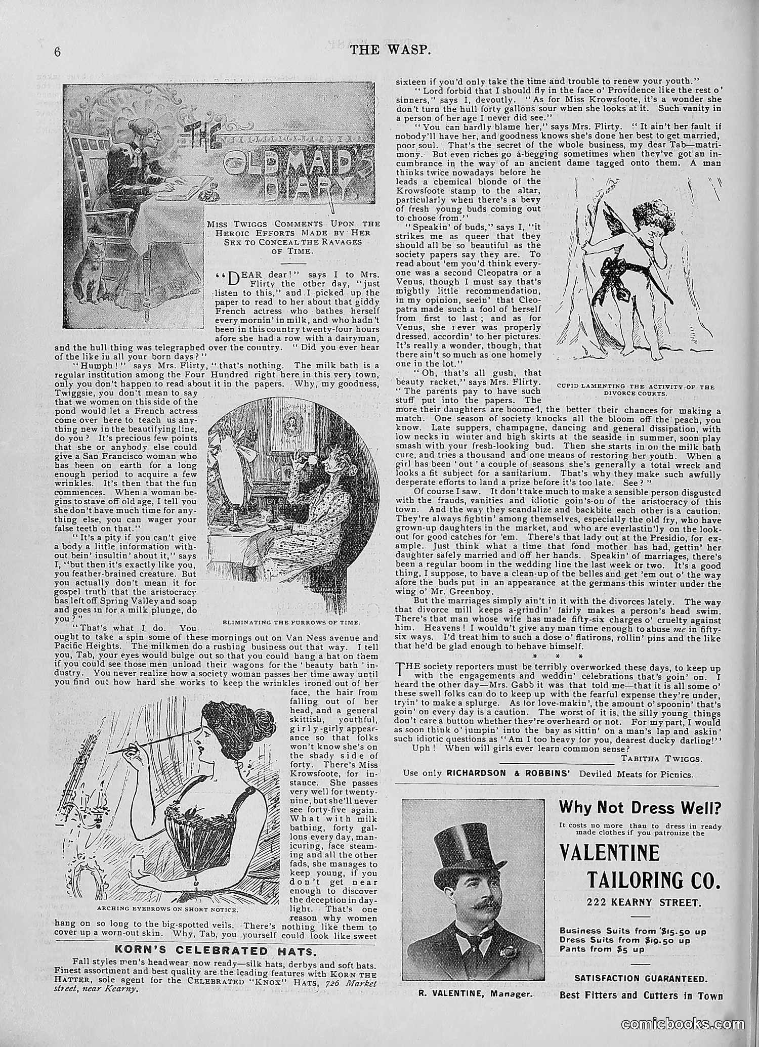 The Wasp — 1896 — page 829 of 1082