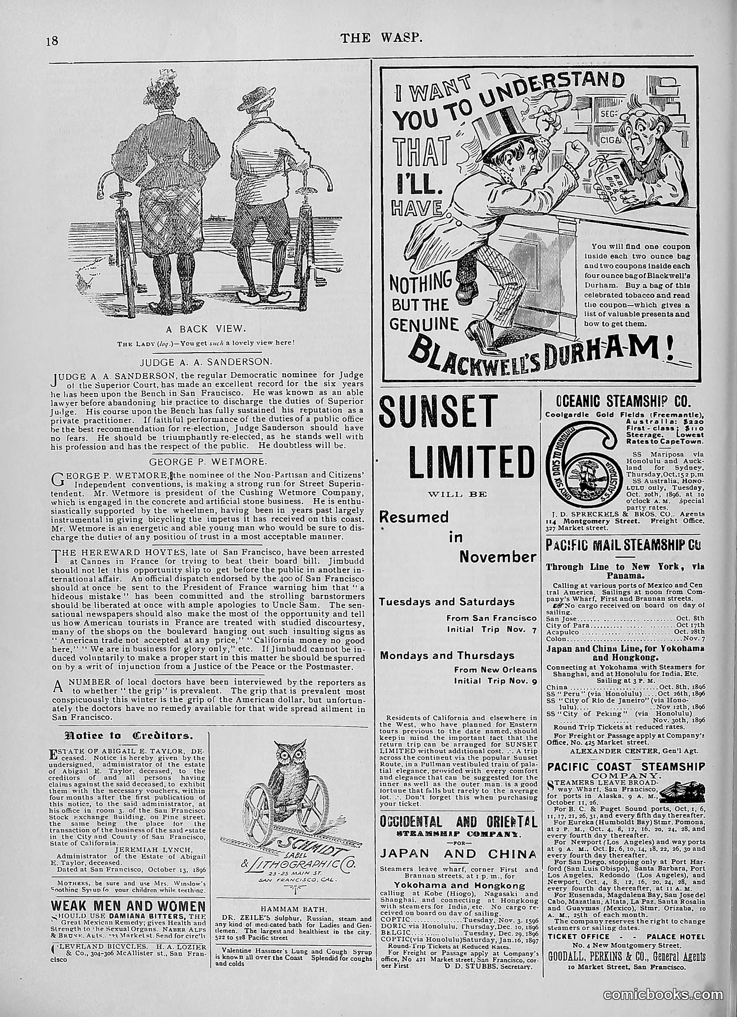 The Wasp — 1896 — page 841 of 1082