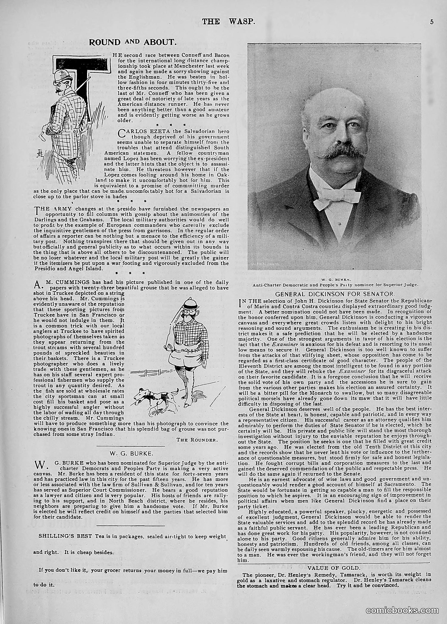 The Wasp — 1896 — page 848 of 1082