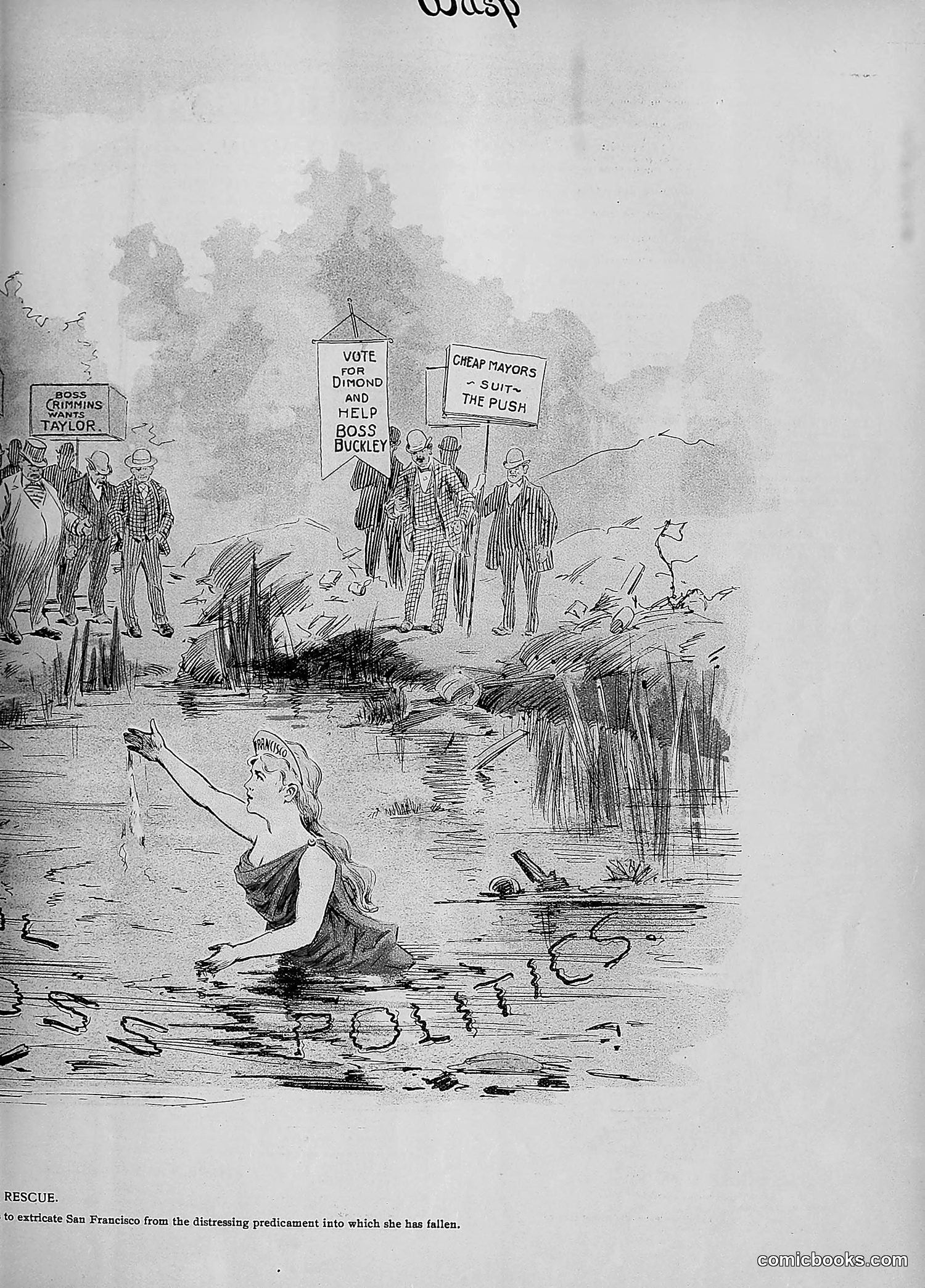 The Wasp — 1896 — page 854 of 1082