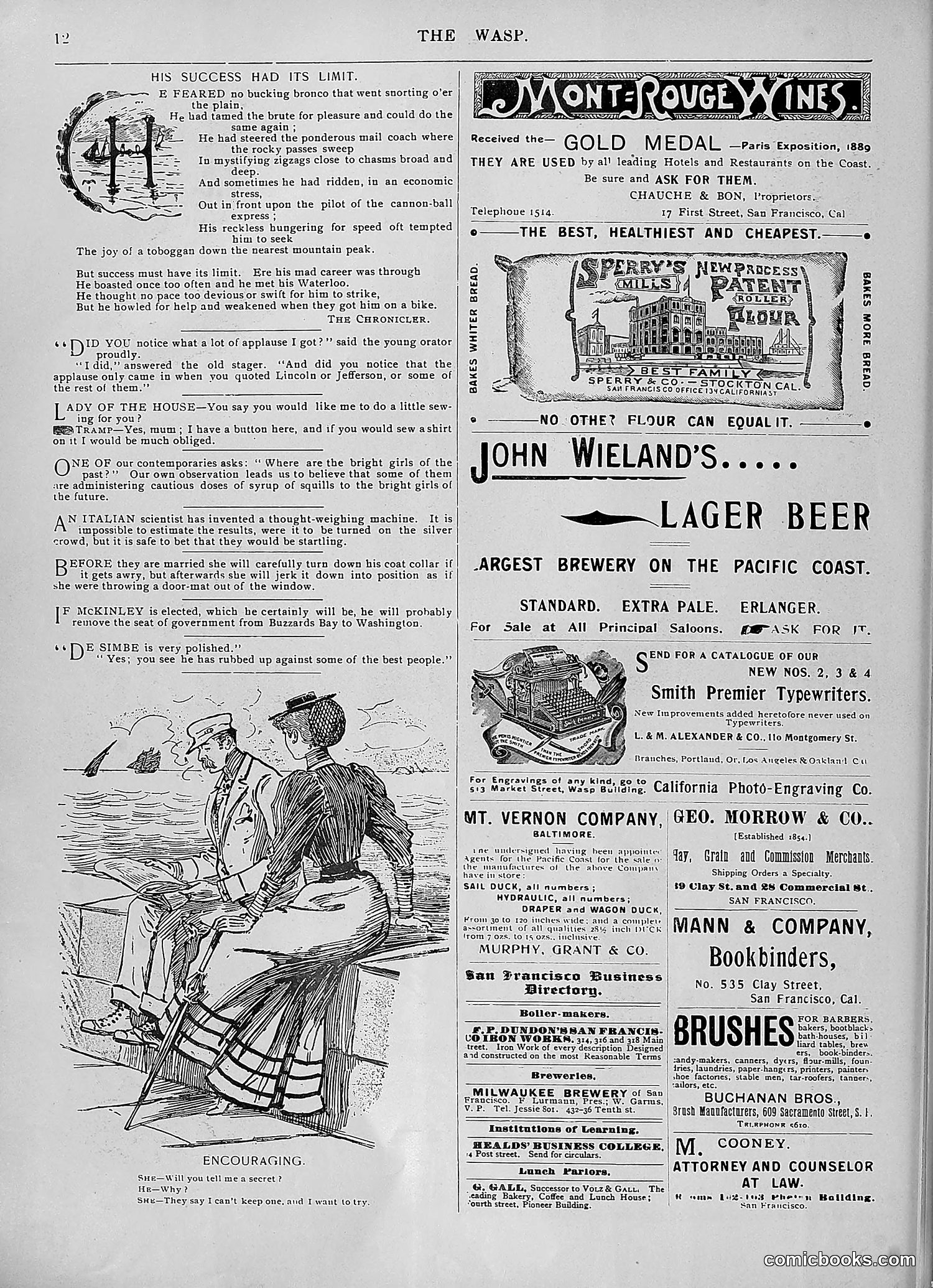 The Wasp — 1896 — page 855 of 1082