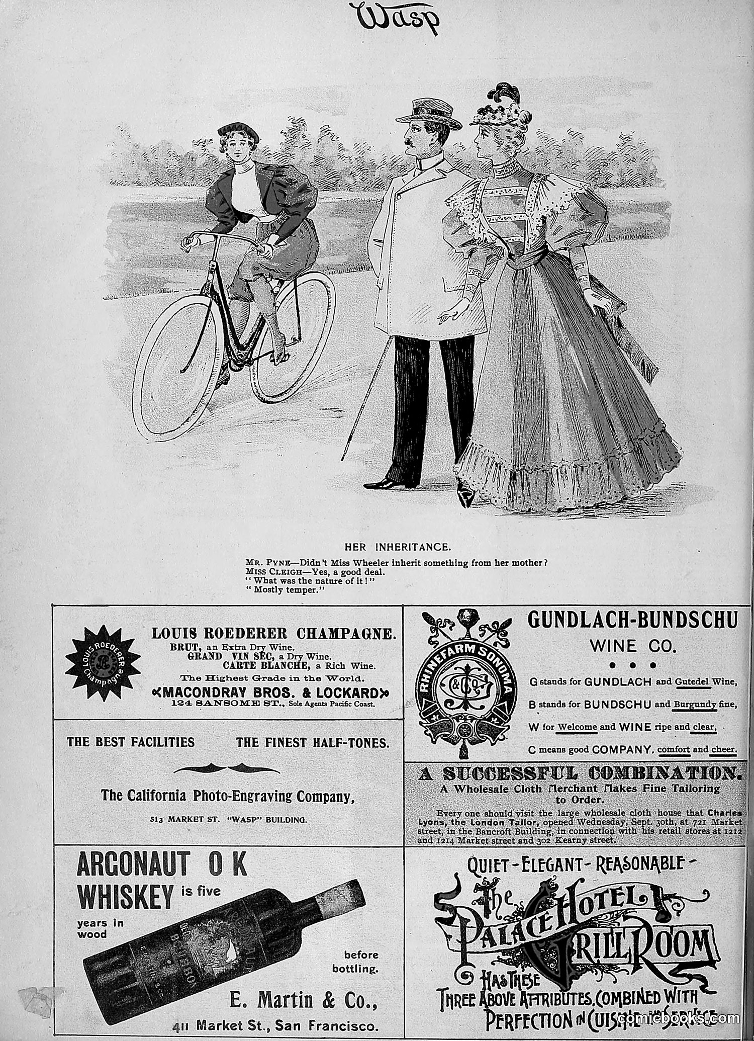 The Wasp — 1896 — page 863 of 1082