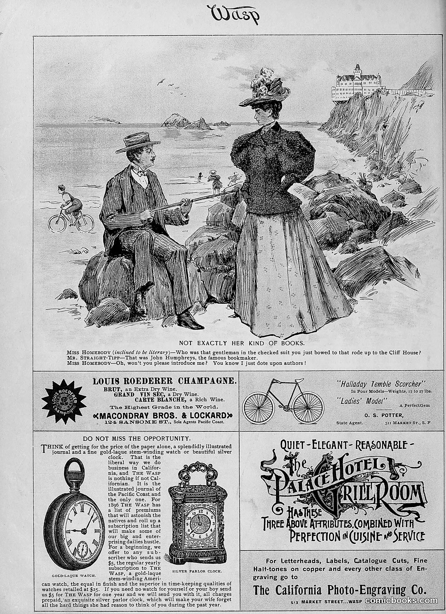 The Wasp — 1896 — page 89 of 1082