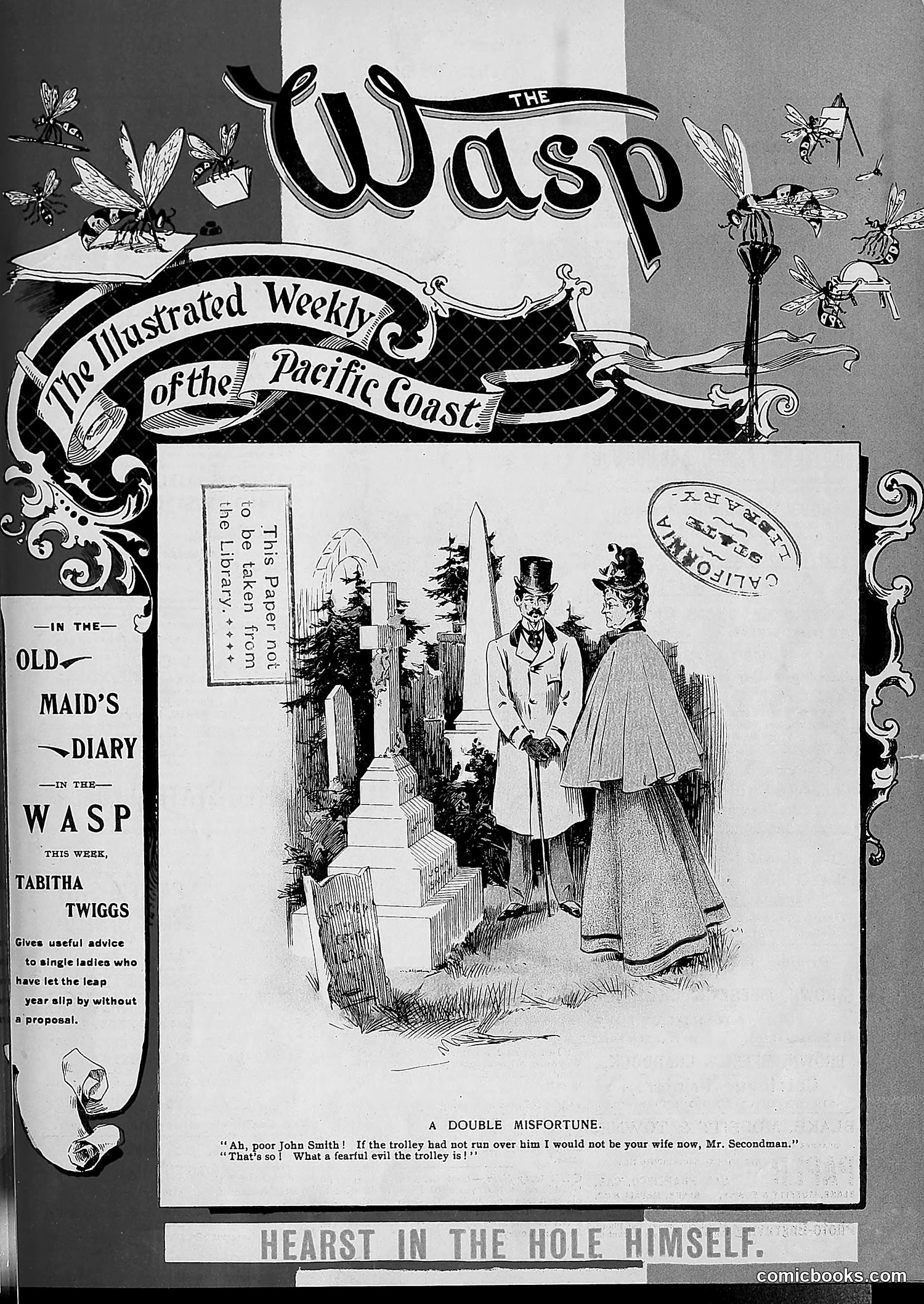 The Wasp — 1896 — page 884 of 1082