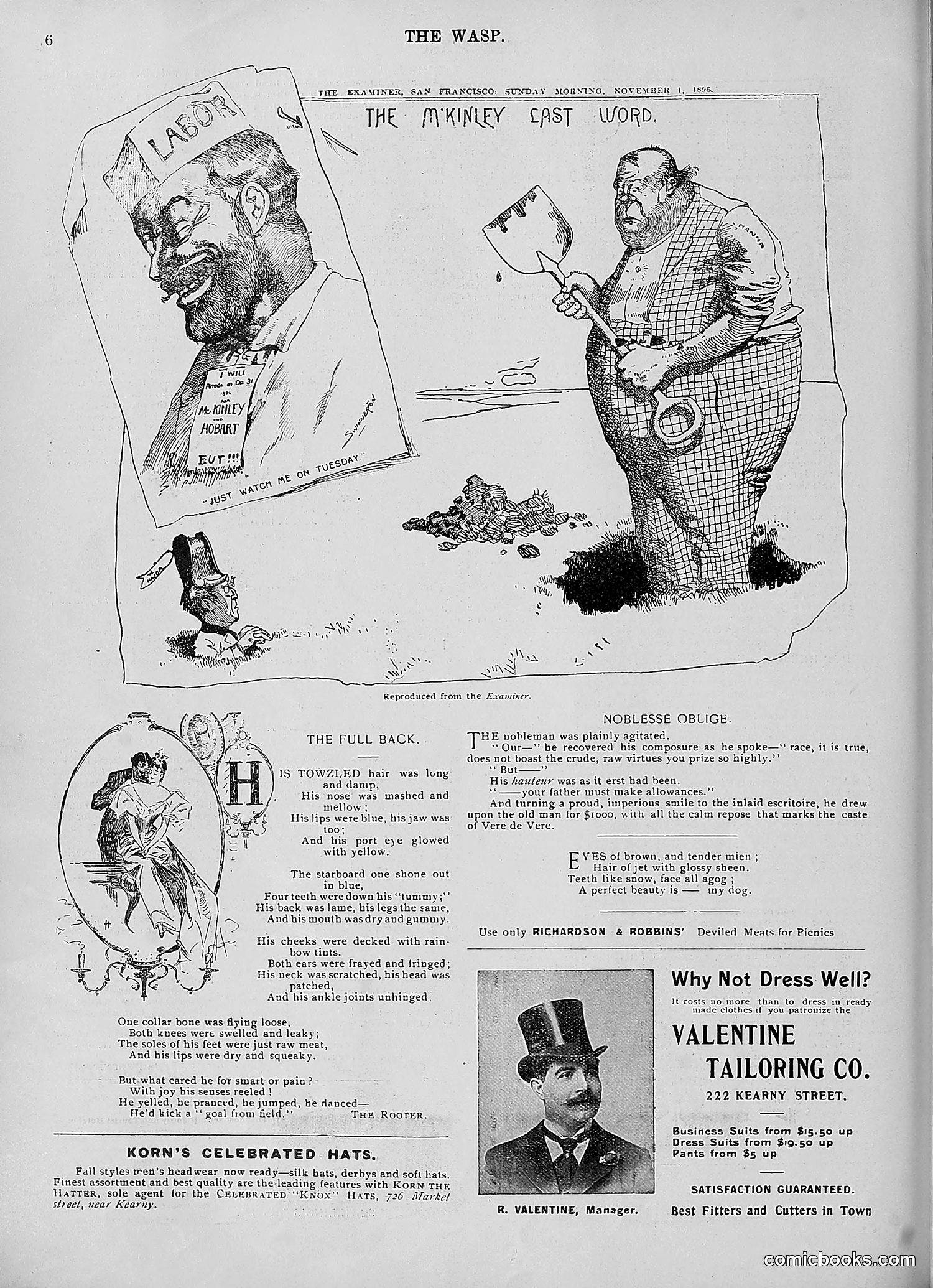 The Wasp — 1896 — page 889 of 1082
