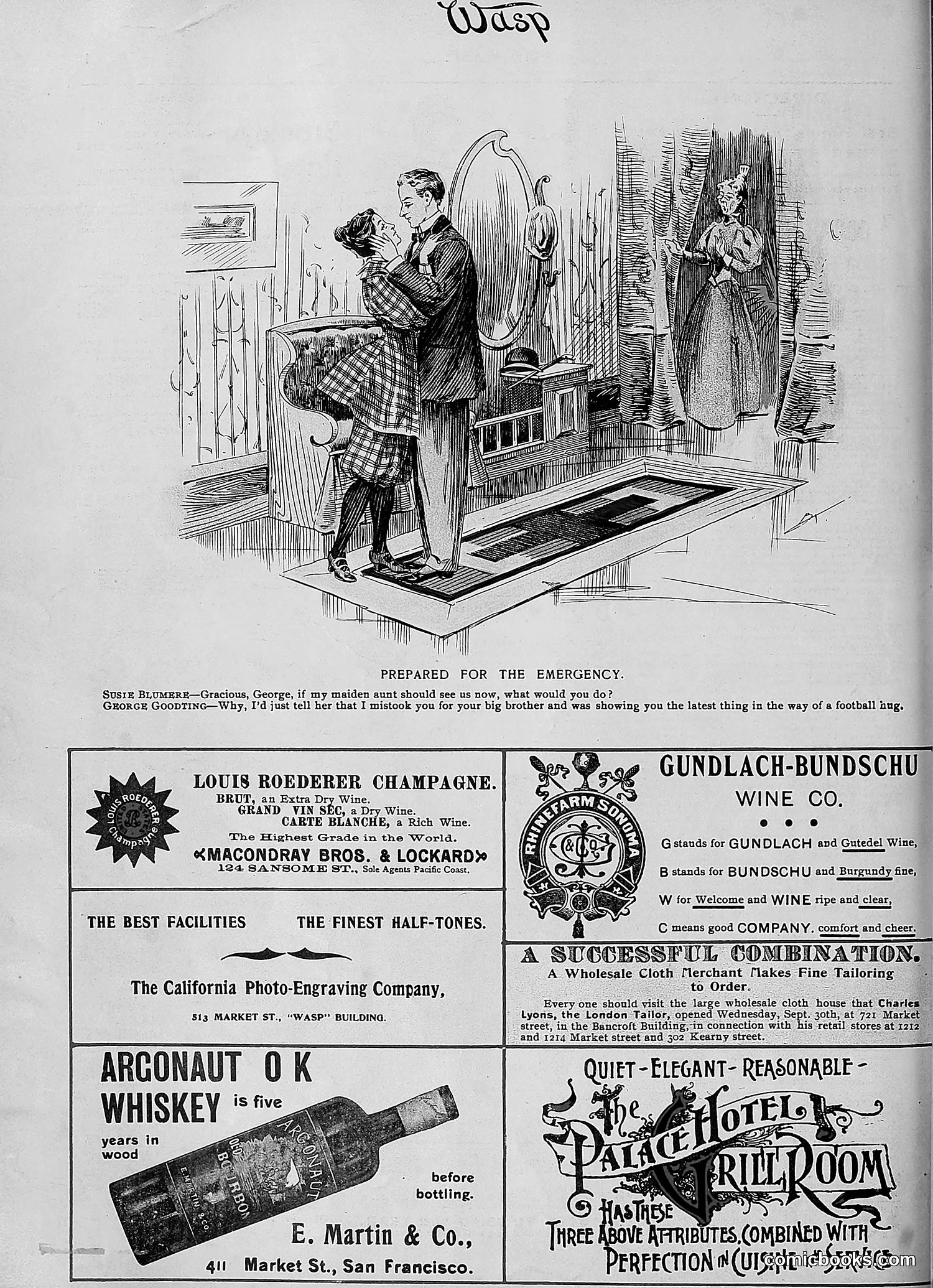 The Wasp — 1896 — page 903 of 1082
