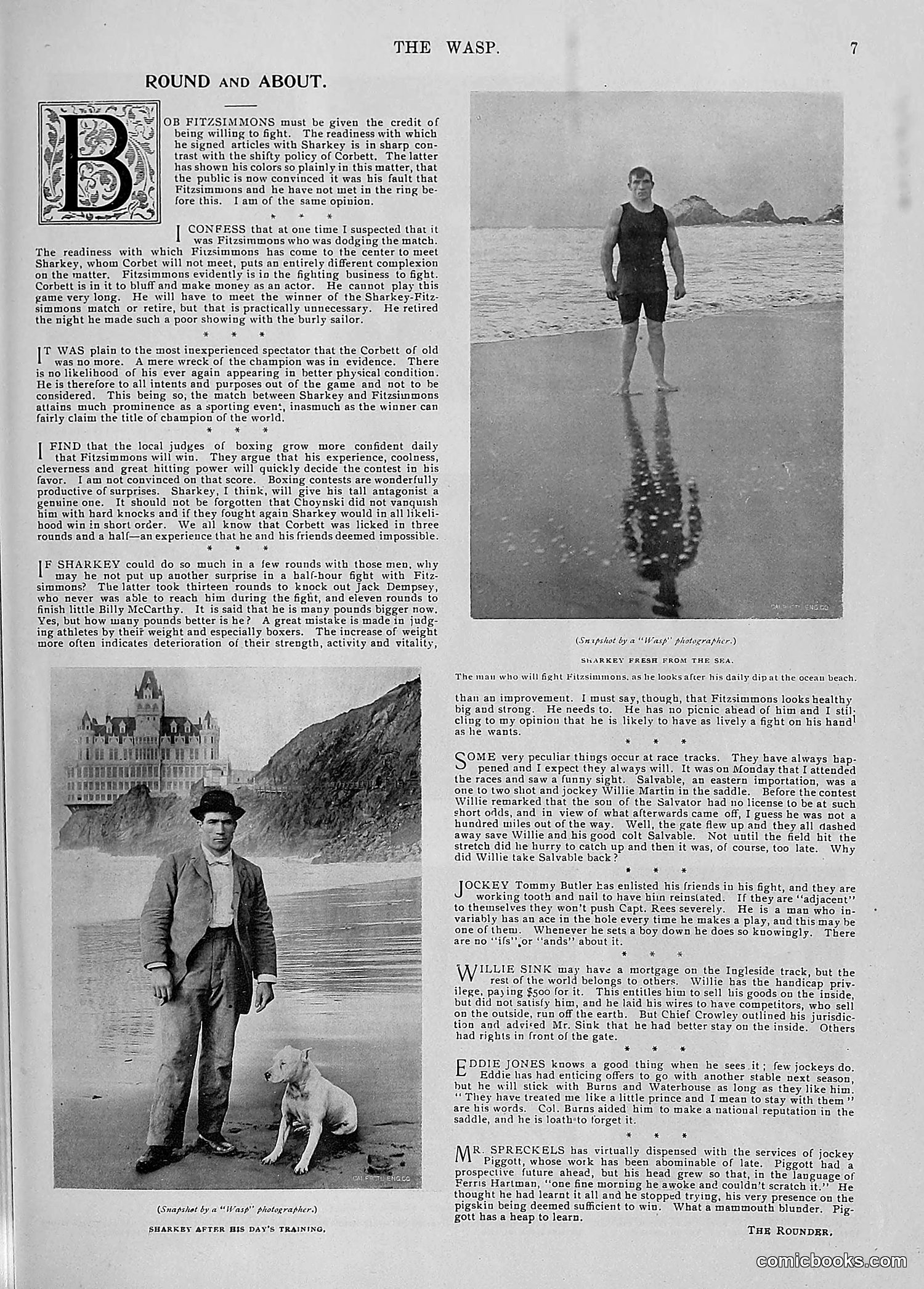 The Wasp — 1896 — page 912 of 1082