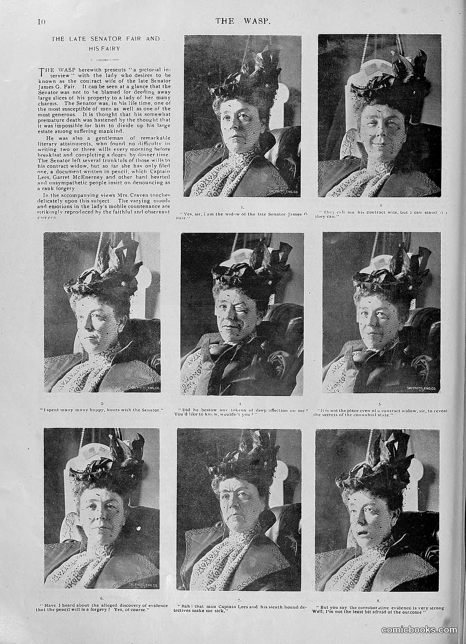 The Wasp — 1896 — page 913 of 1082