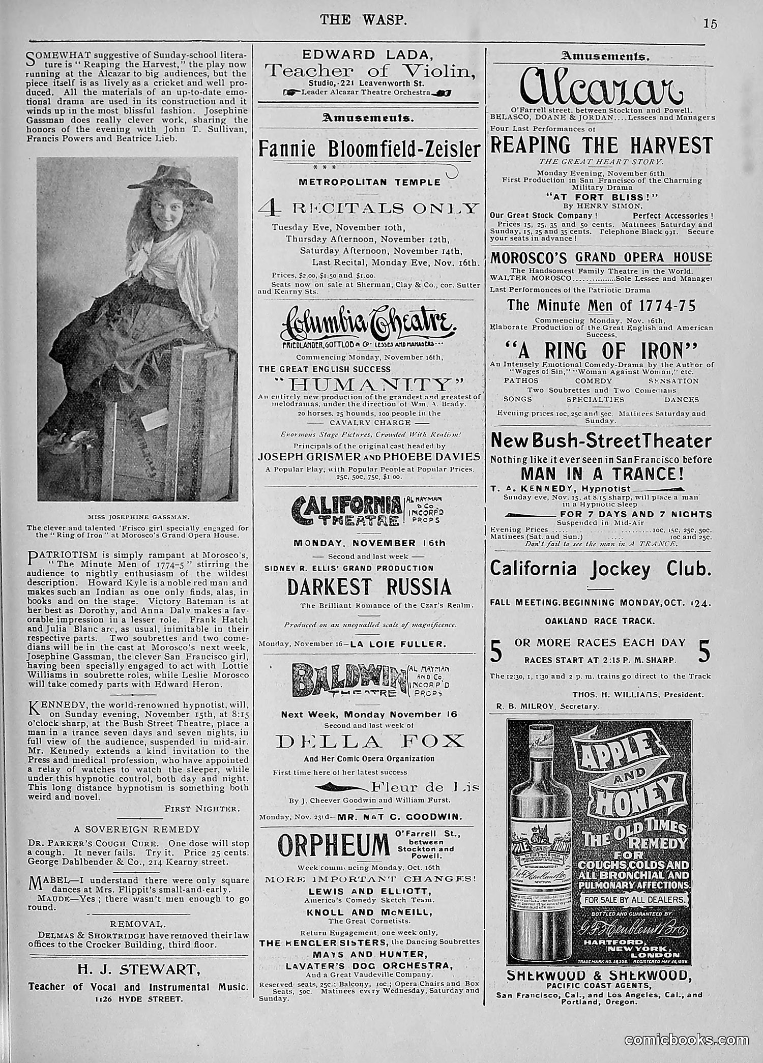The Wasp — 1896 — page 918 of 1082