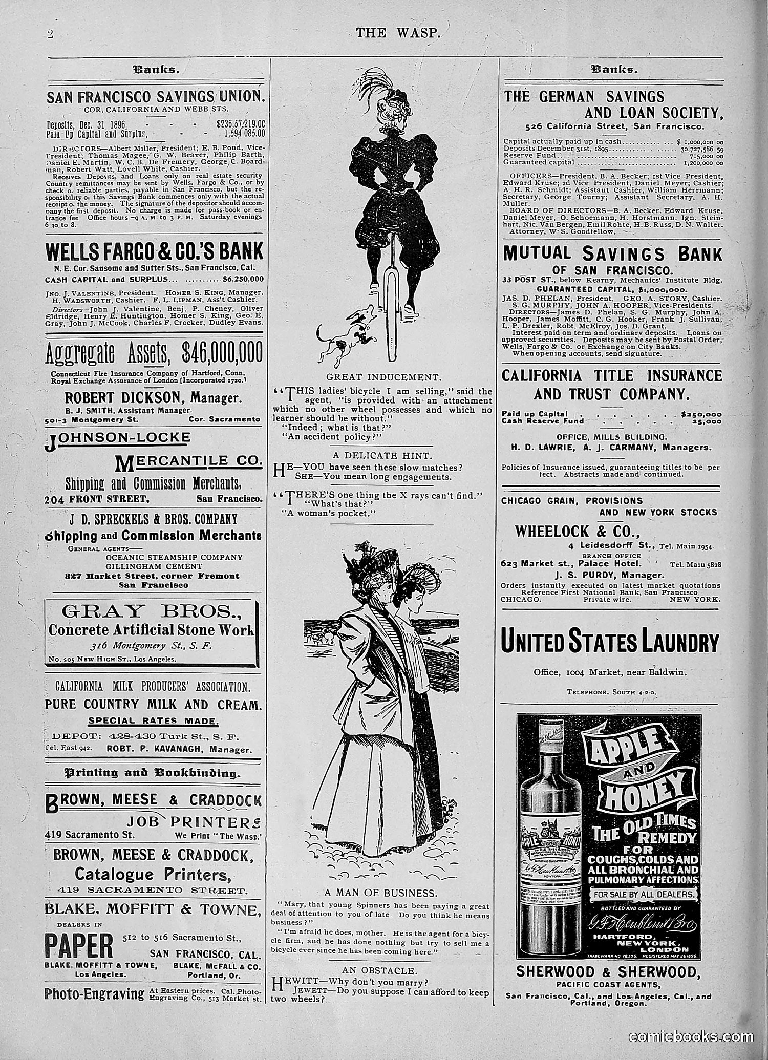 The Wasp — 1896 — page 925 of 1082