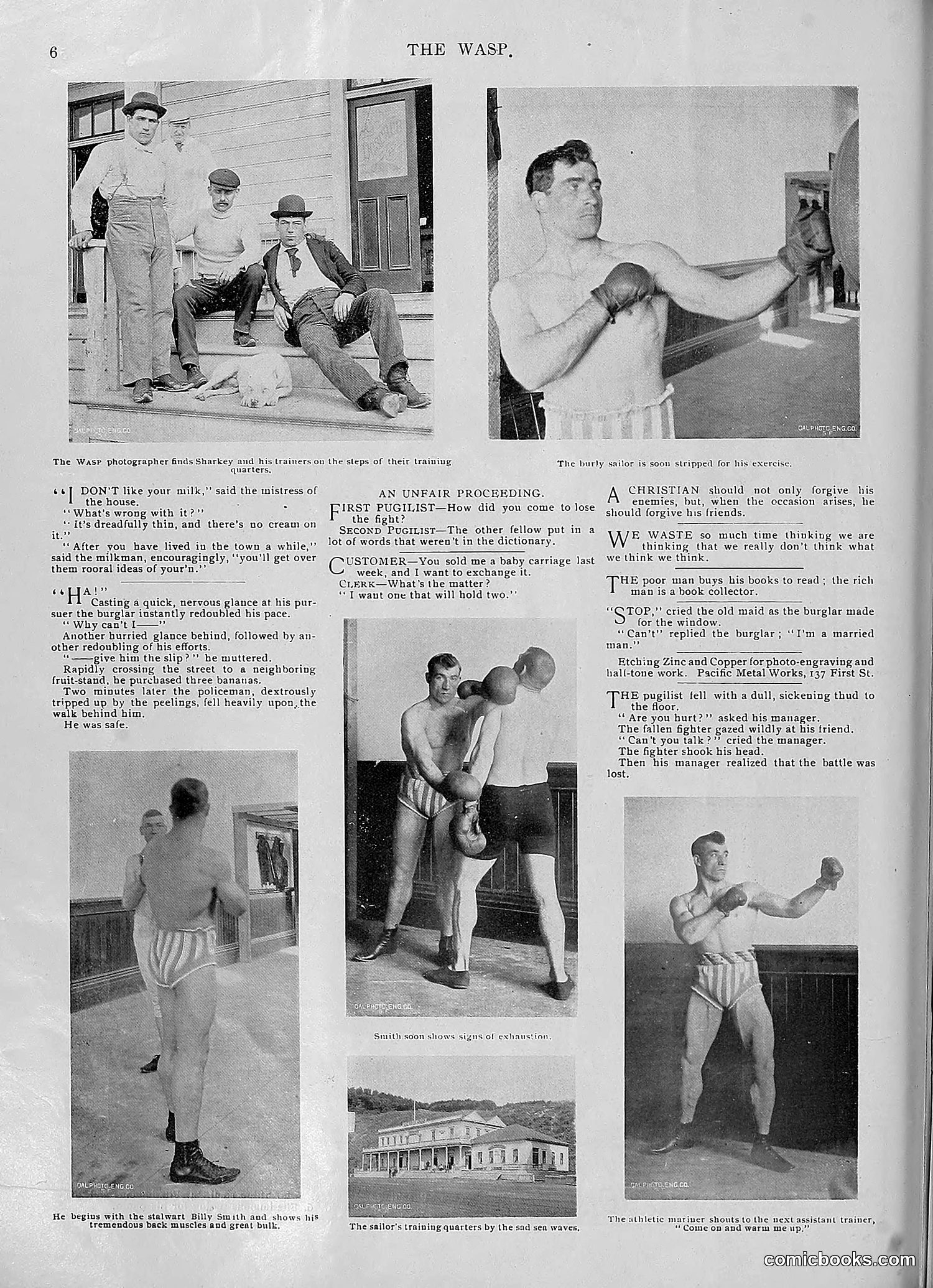 The Wasp — 1896 — page 931 of 1082