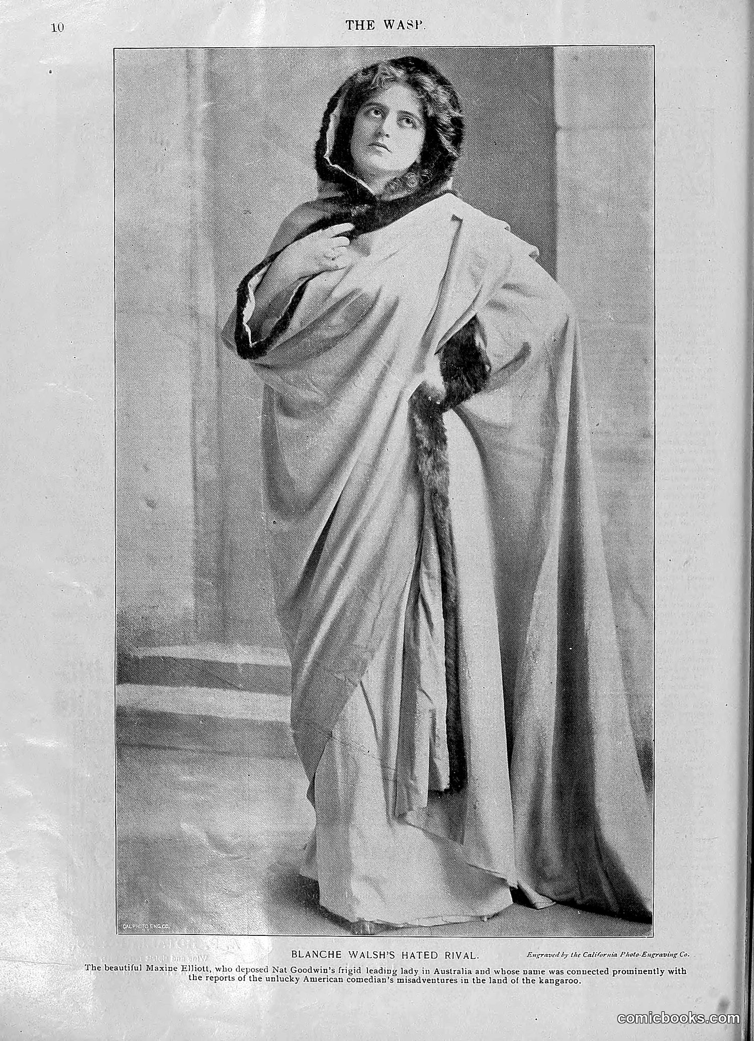 The Wasp — 1896 — page 933 of 1082