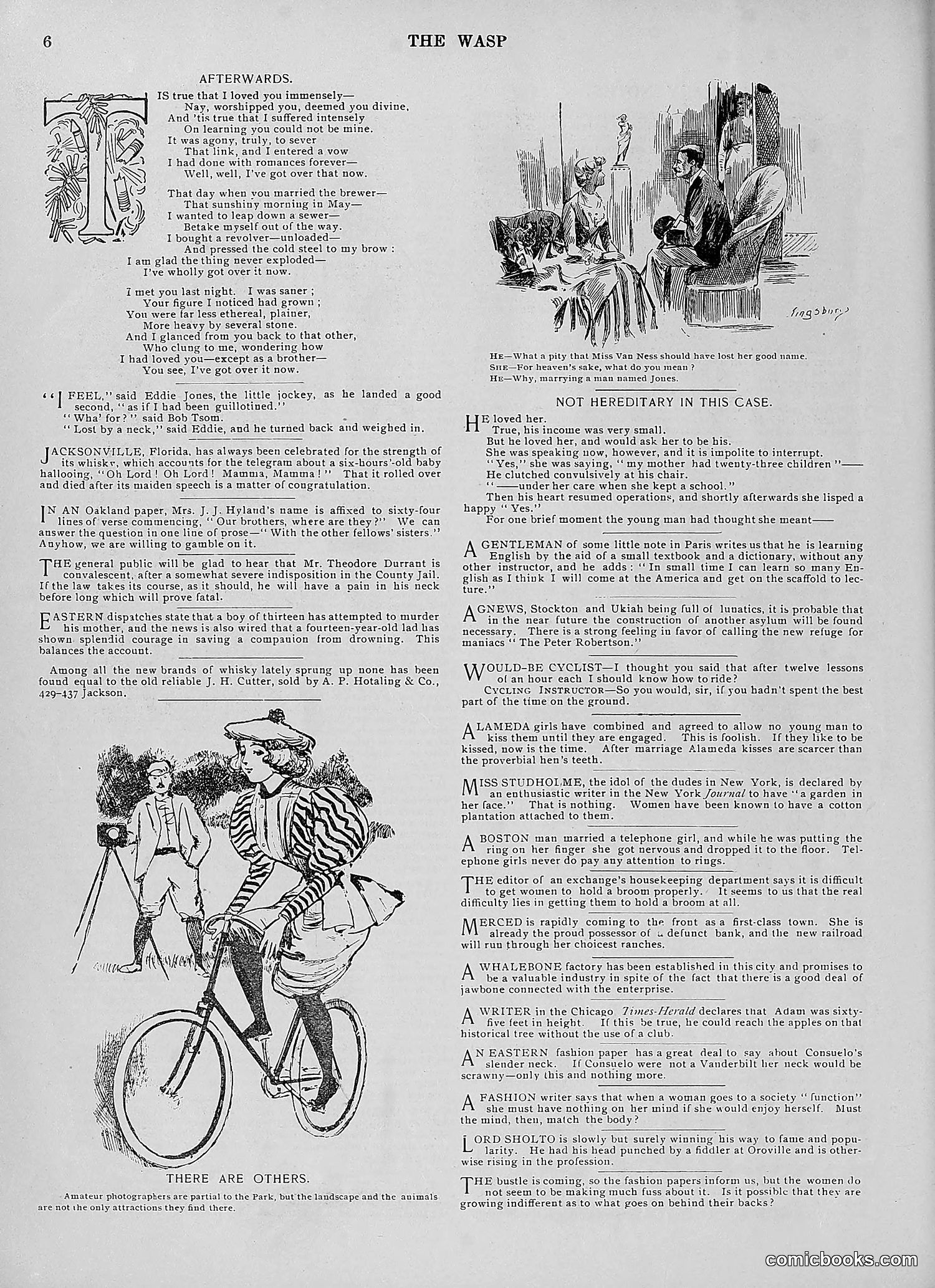 The Wasp — 1896 — page 95 of 1082