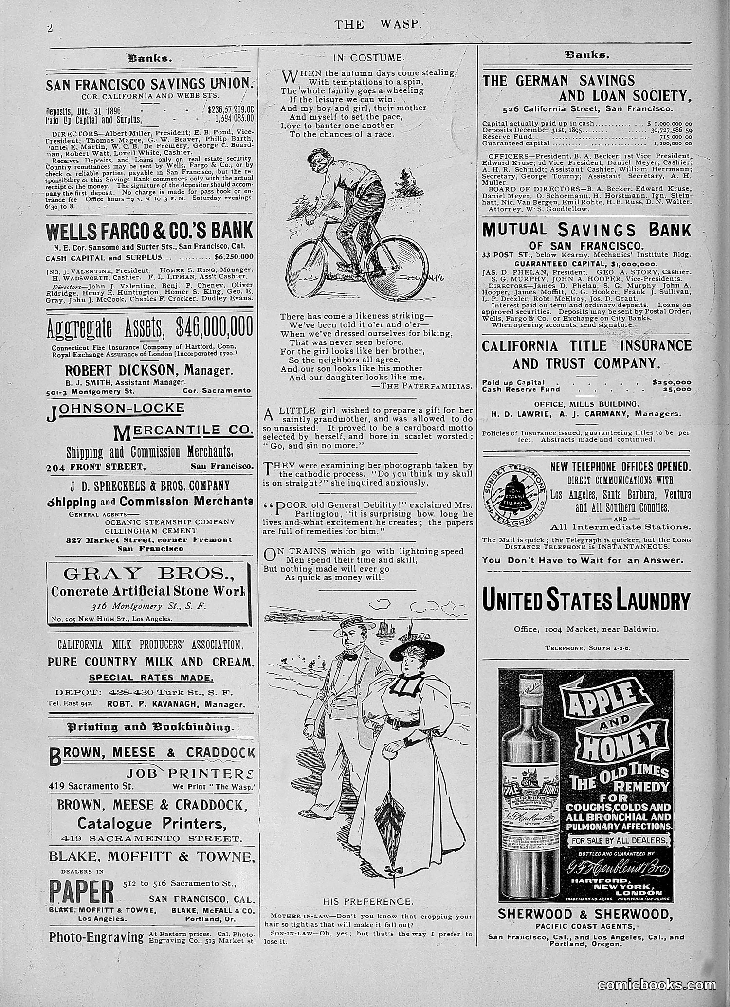The Wasp — 1896 — page 945 of 1082
