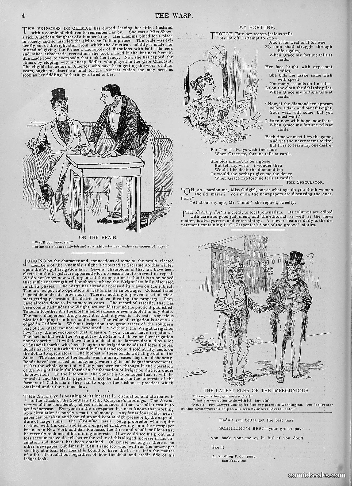 The Wasp — 1896 — page 947 of 1082