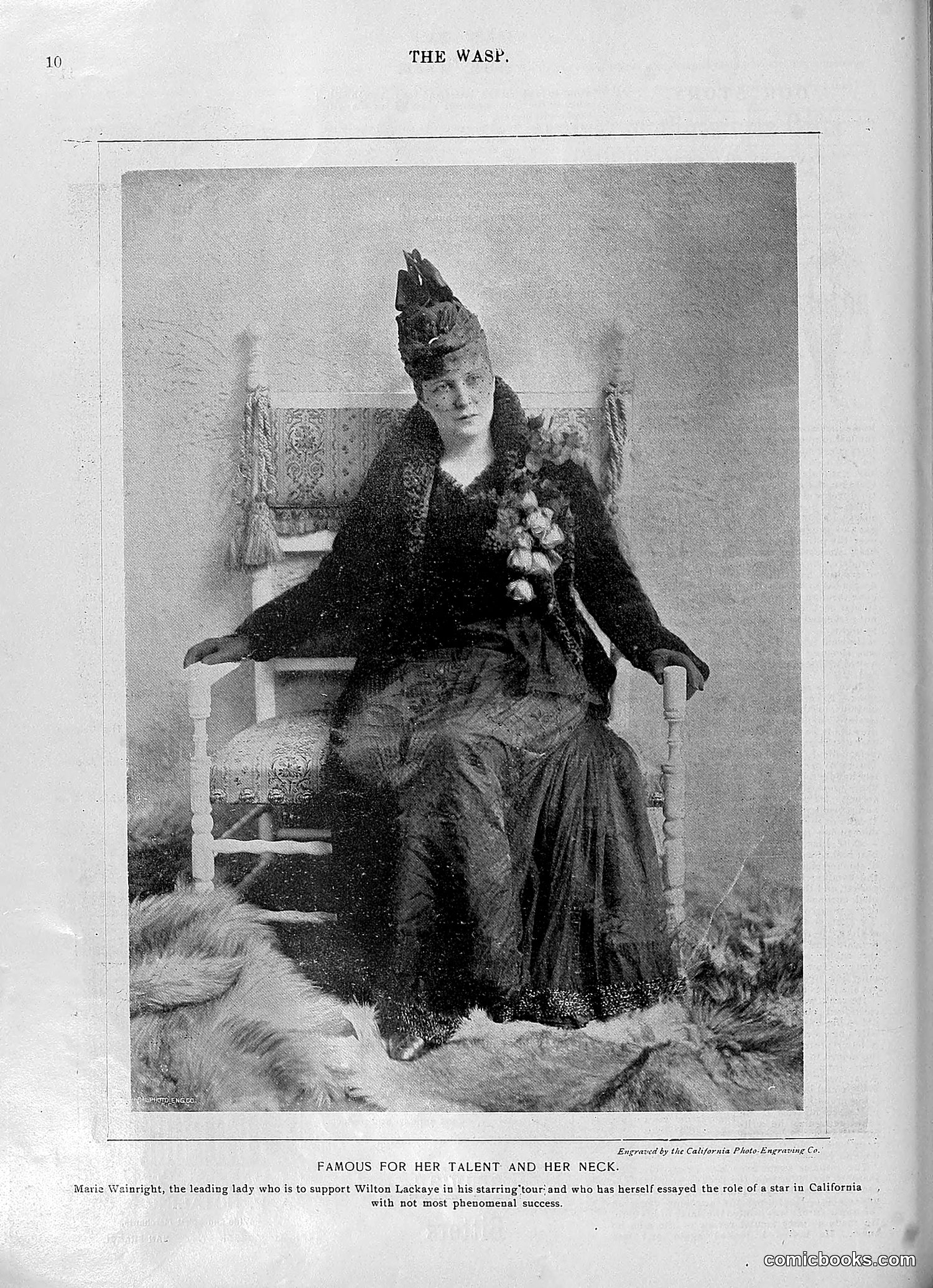 The Wasp — 1896 — page 953 of 1082