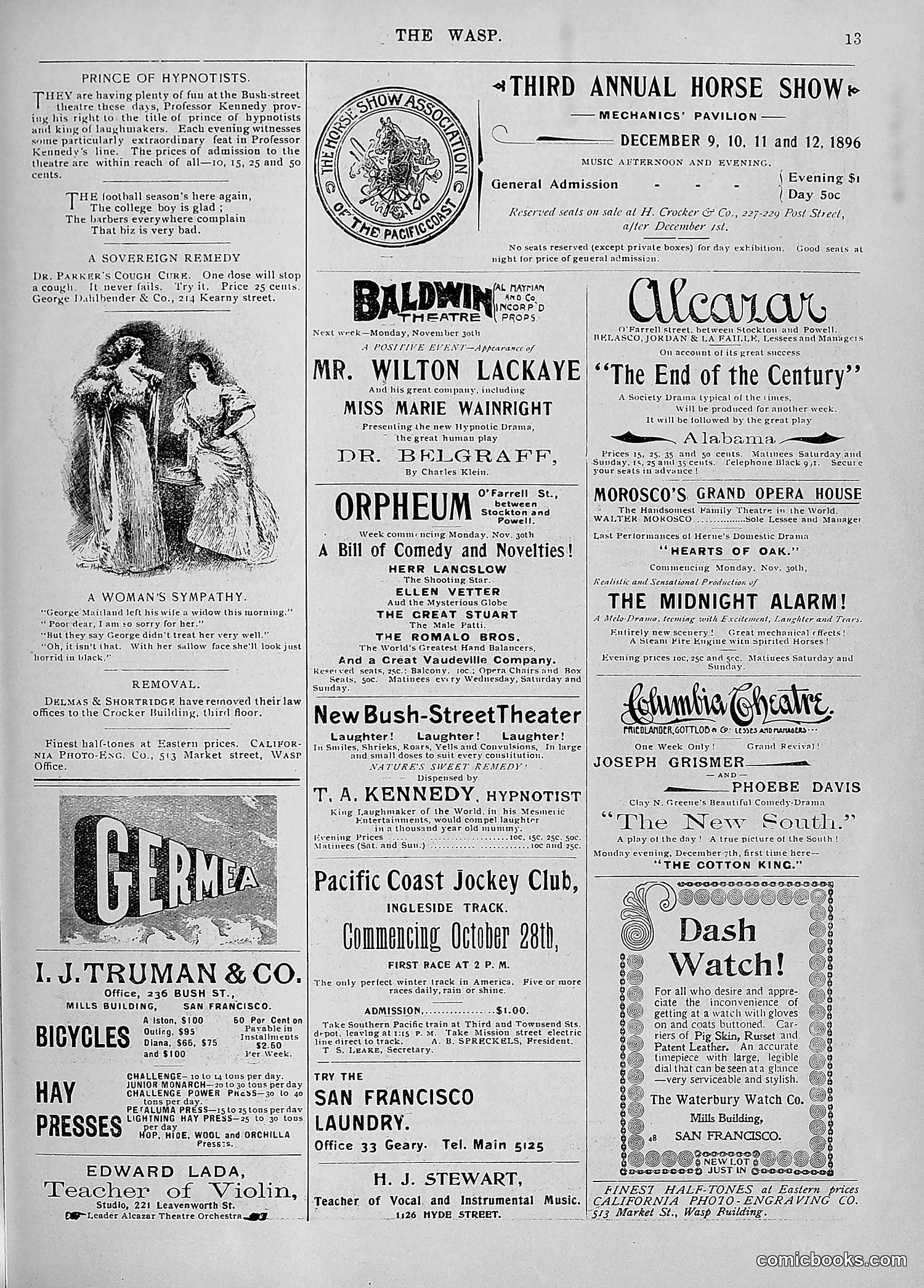 The Wasp — 1896 — page 956 of 1082