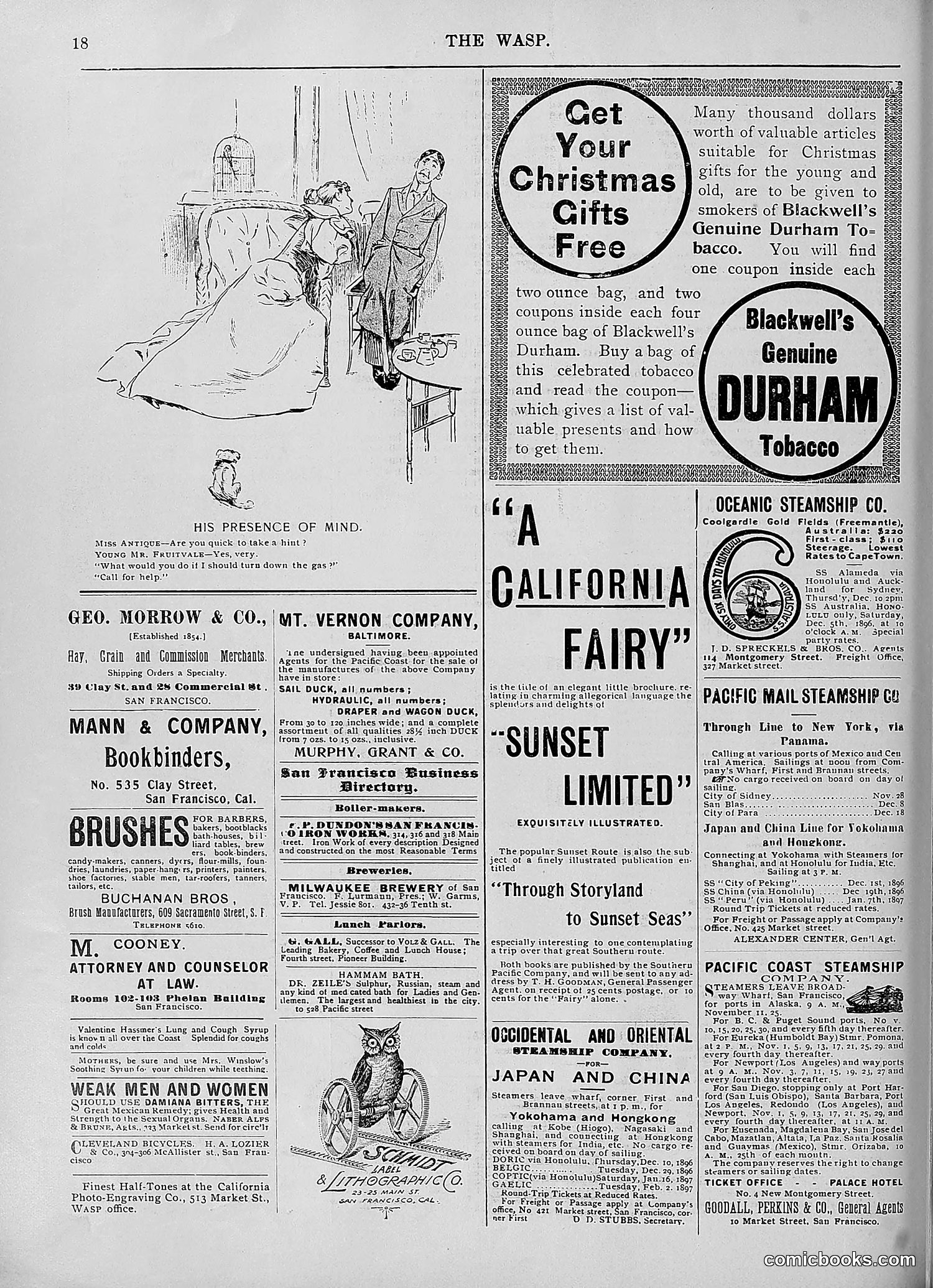 The Wasp — 1896 — page 961 of 1082