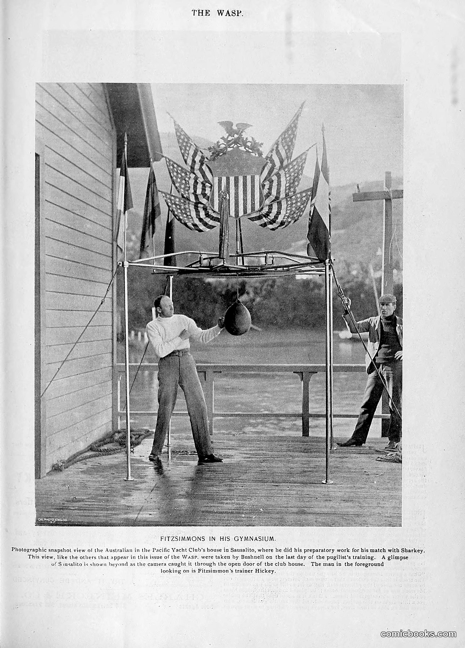 The Wasp — 1896 — page 970 of 1082