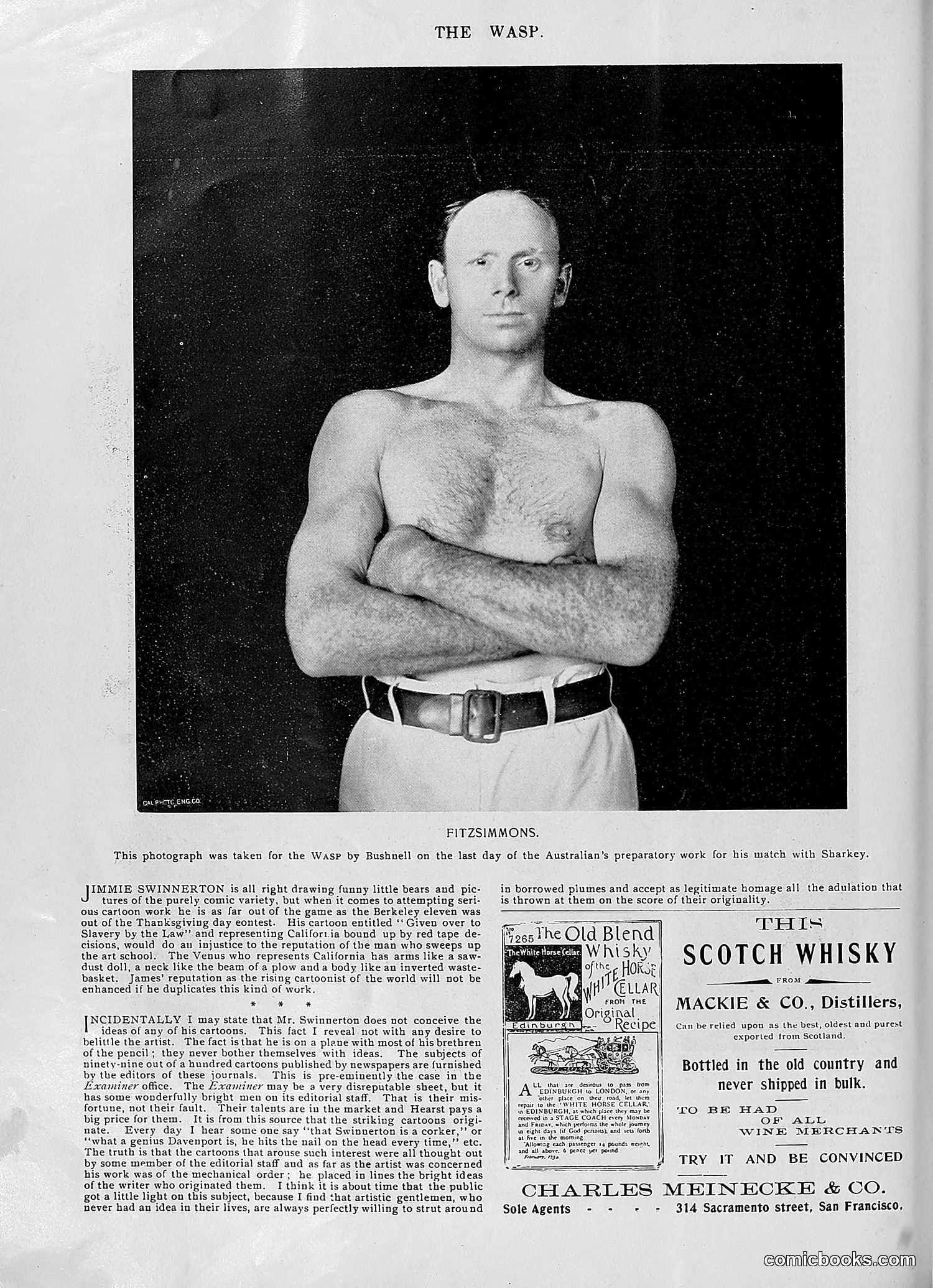 The Wasp — 1896 — page 971 of 1082