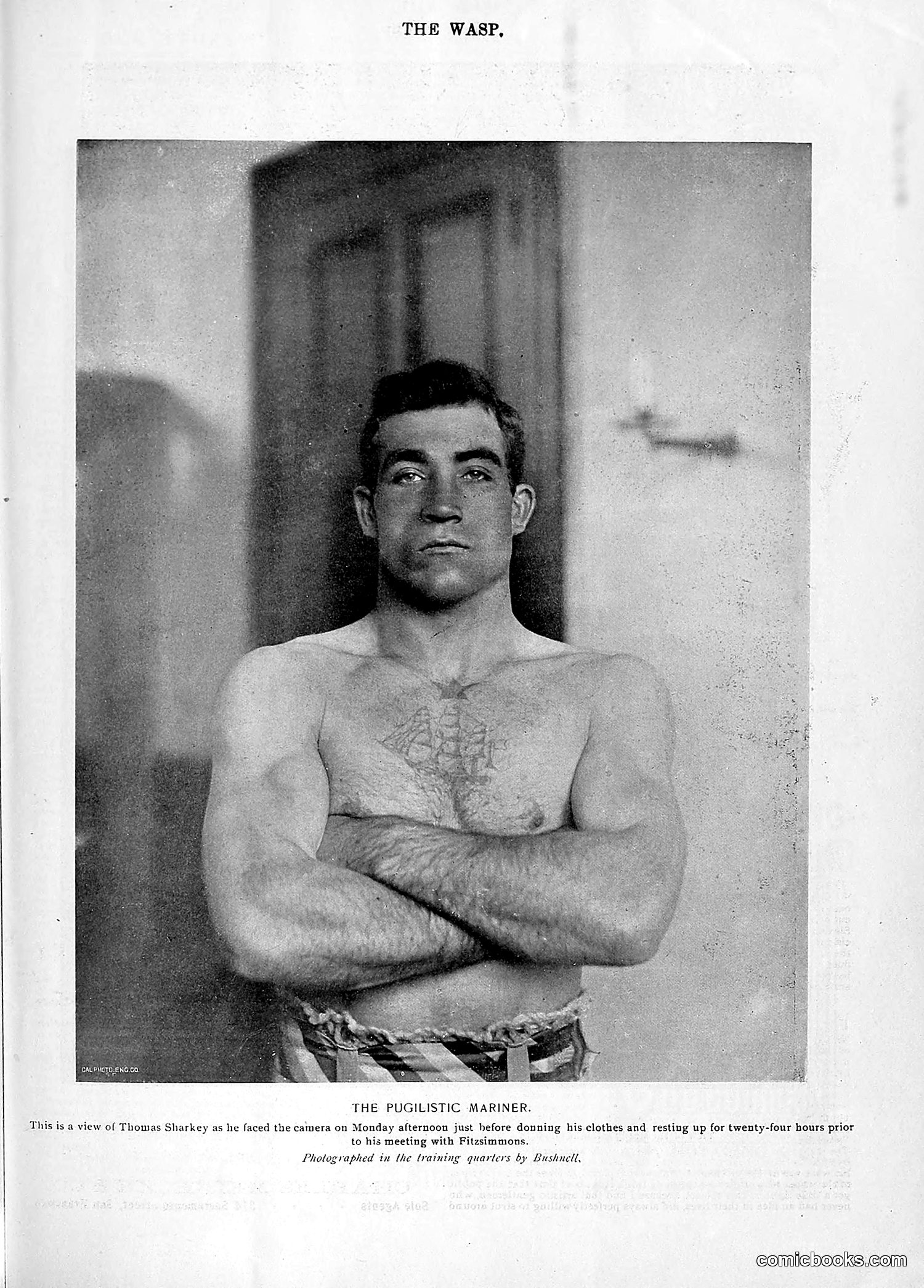 The Wasp — 1896 — page 972 of 1082