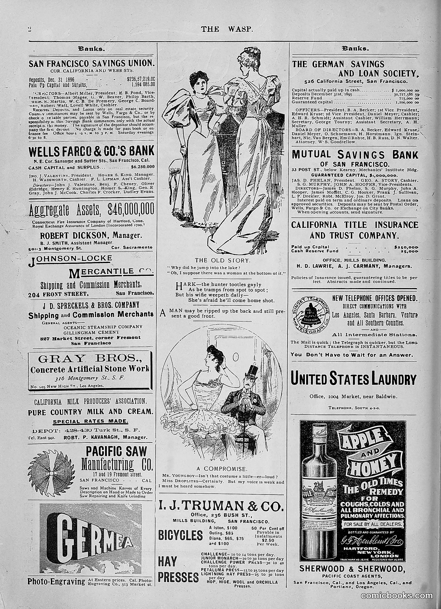 The Wasp — 1896 — page 989 of 1082