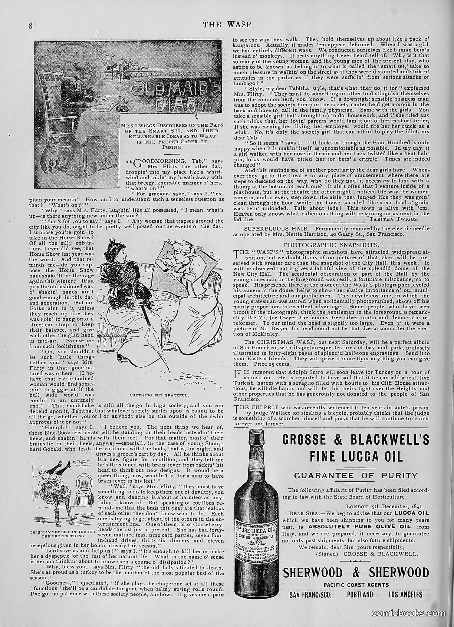 The Wasp — 1896 — page 993 of 1082