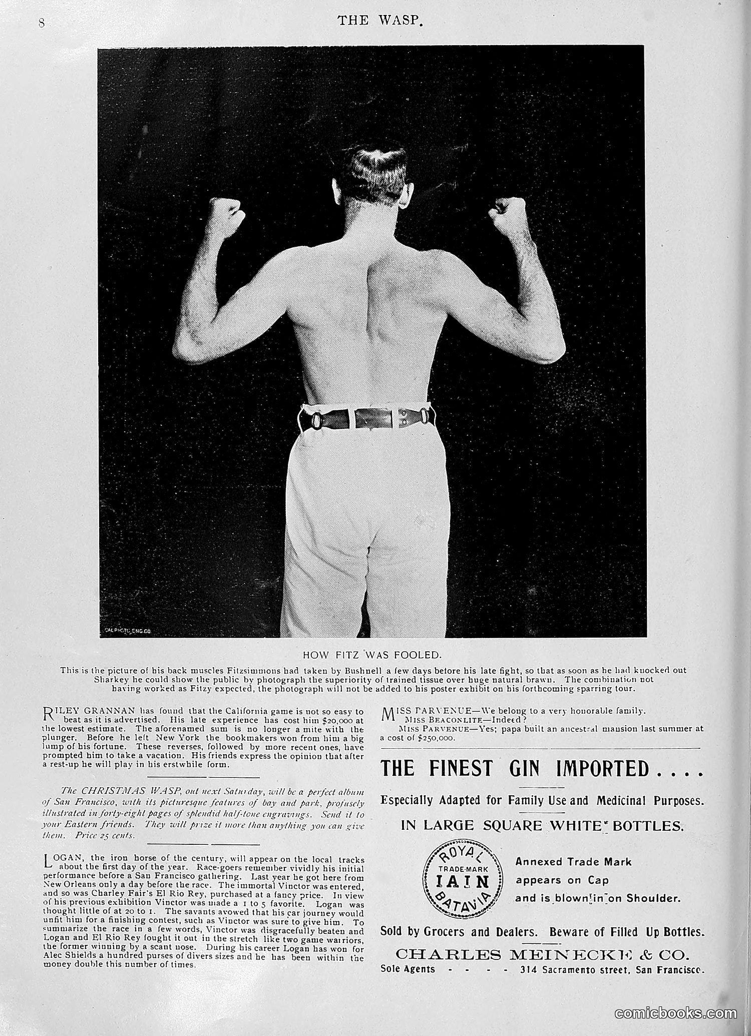 The Wasp — 1896 — page 995 of 1082