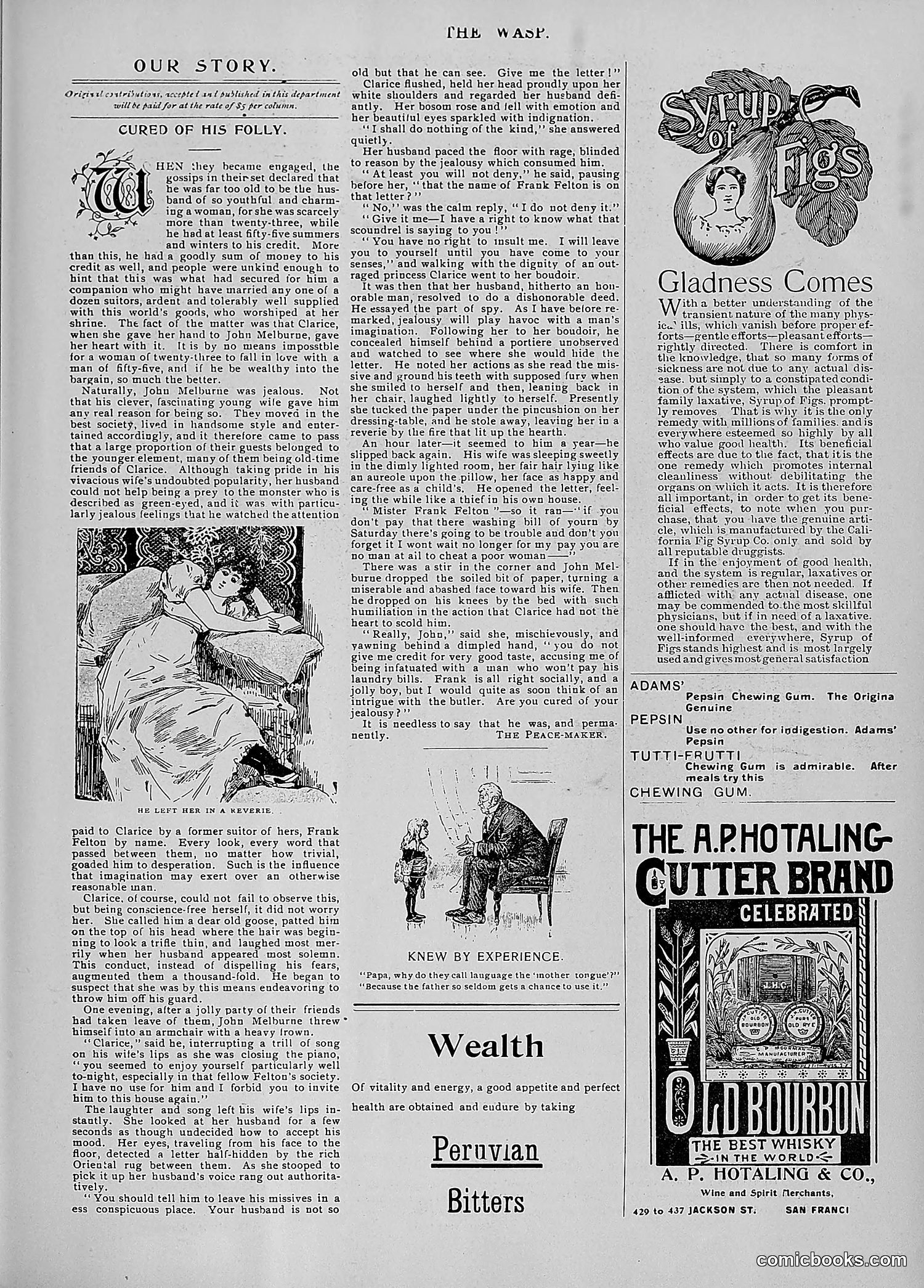 The Wasp — 1896 — page 996 of 1082