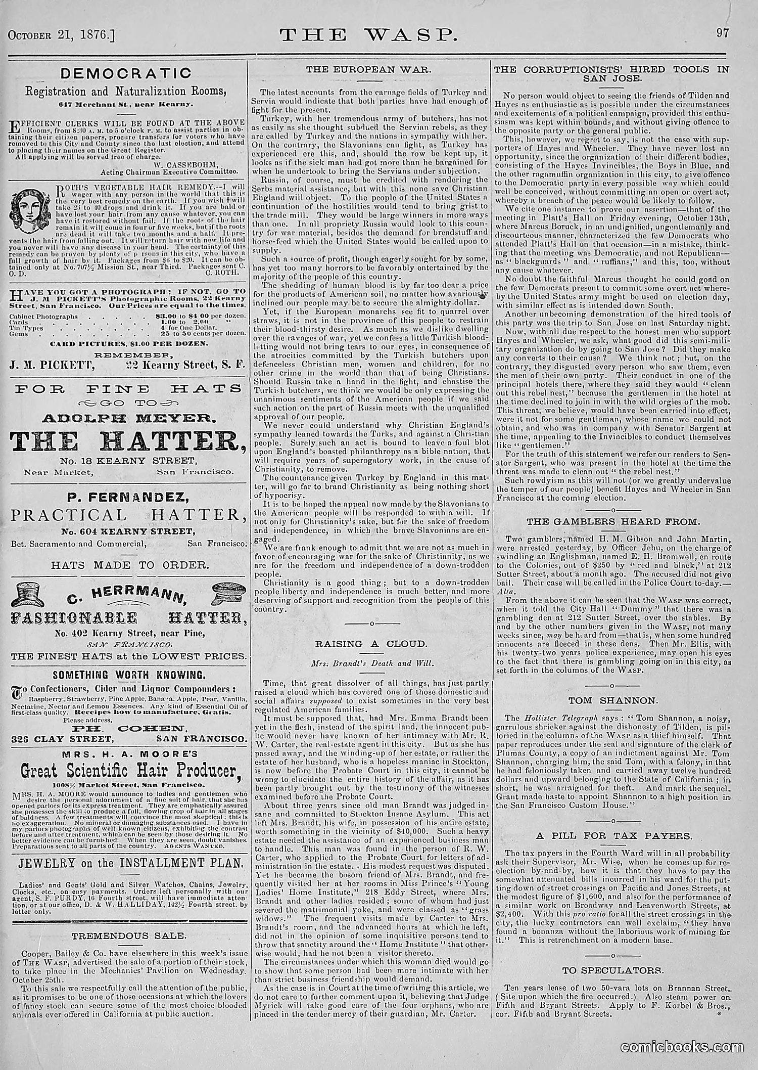 The Wasp — 1876 — page 110 of 230