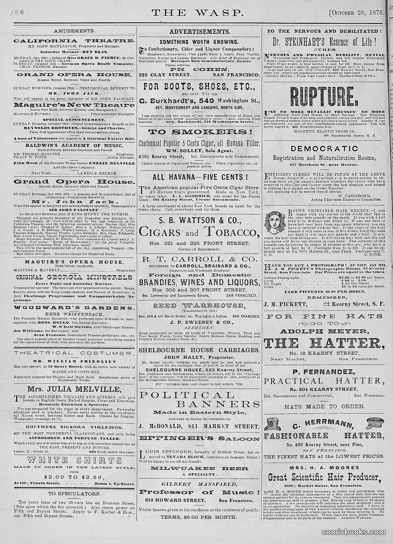 The Wasp — 1876 — page 113 of 230