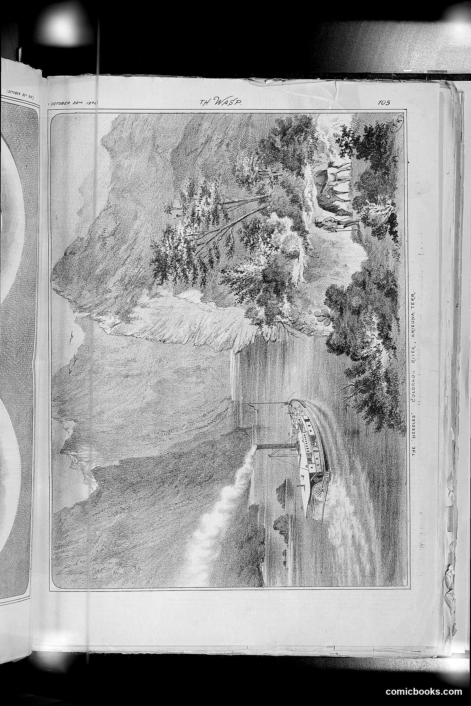 The Wasp — 1876 — page 116 of 230