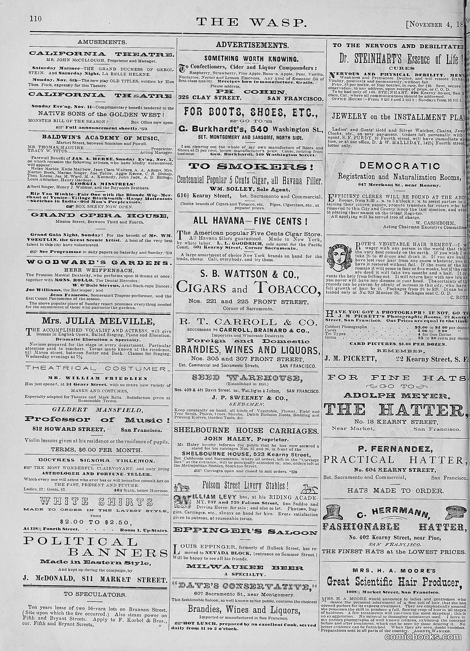 The Wasp — 1876 — page 123 of 230