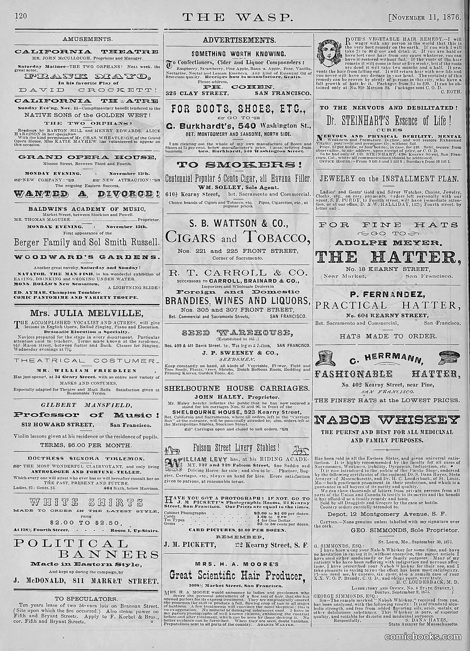 The Wasp — 1876 — page 133 of 230