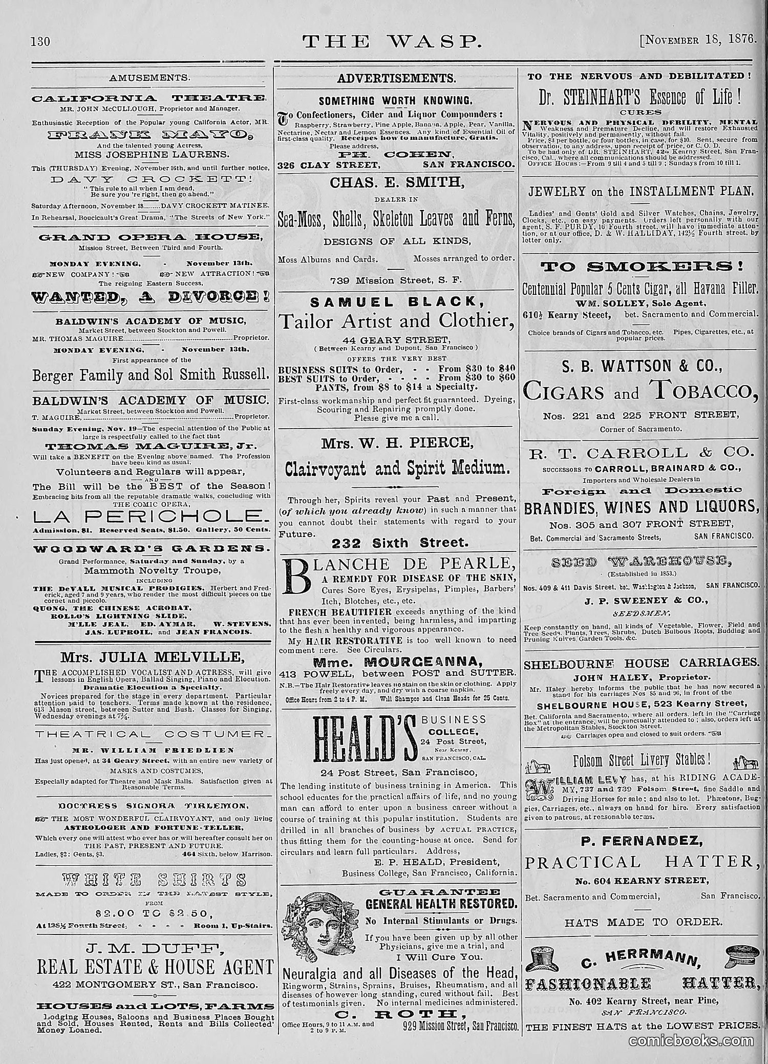 The Wasp — 1876 — page 143 of 230