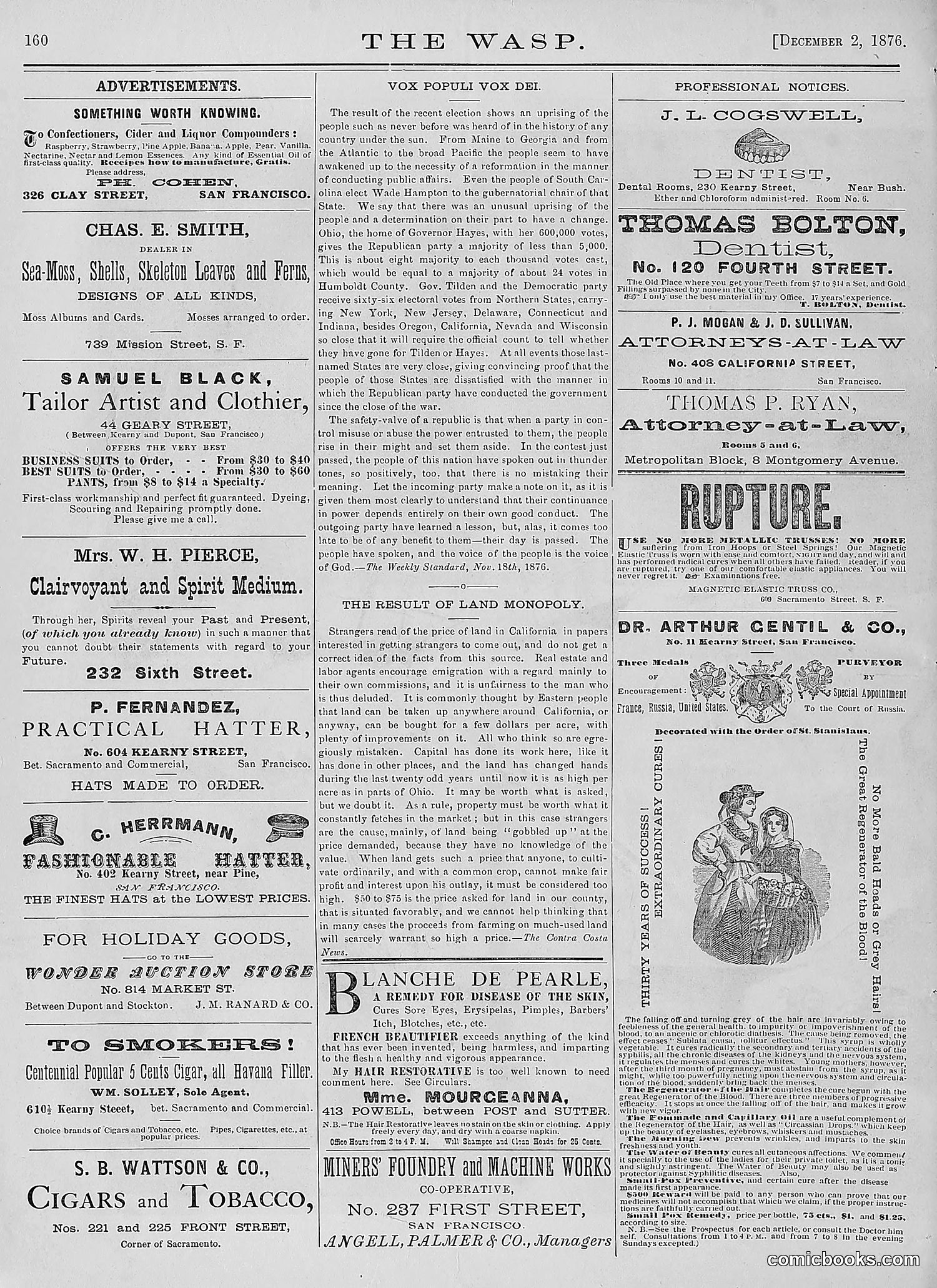 The Wasp — 1876 — page 173 of 230