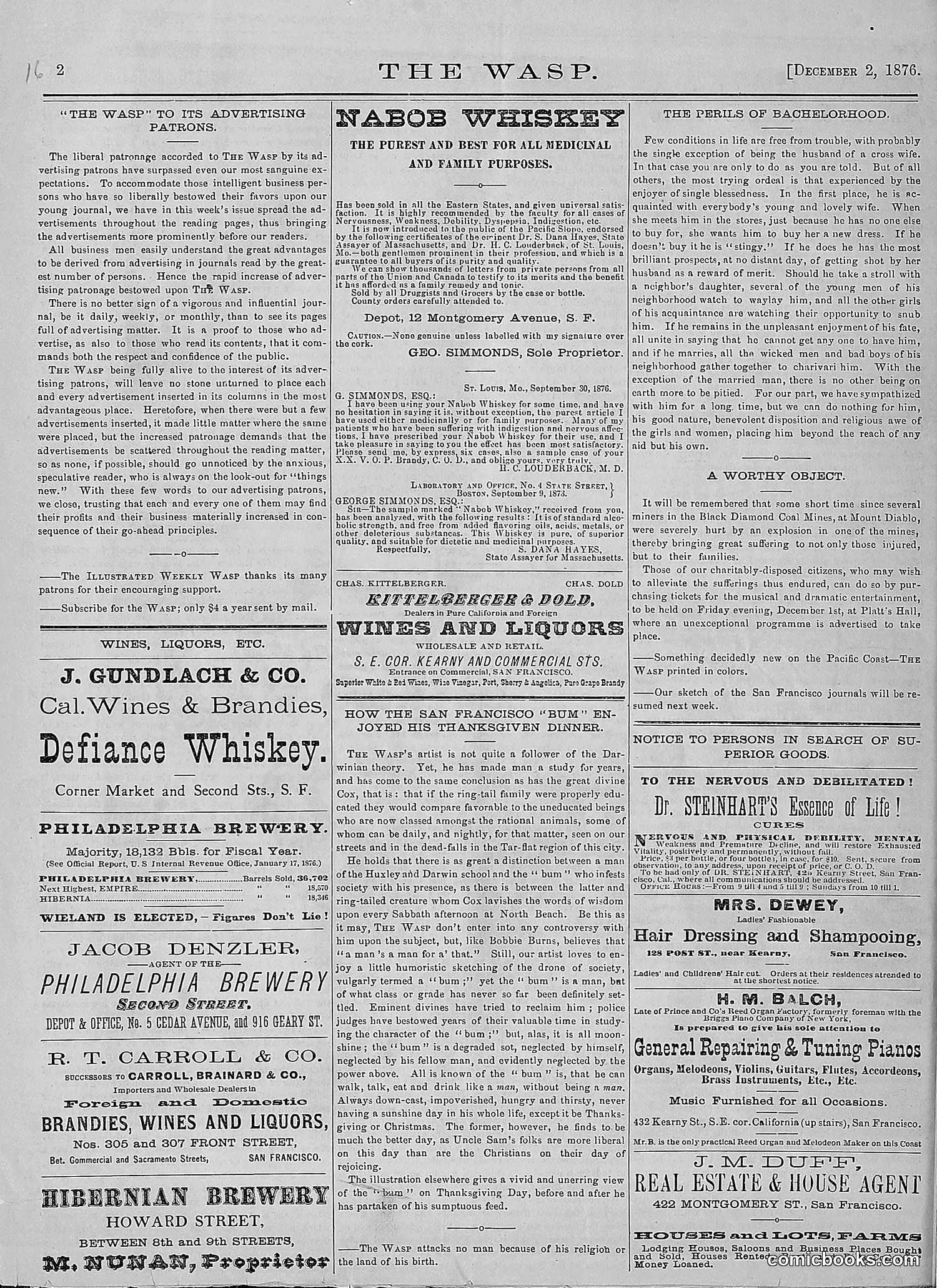 The Wasp — 1876 — page 175 of 230
