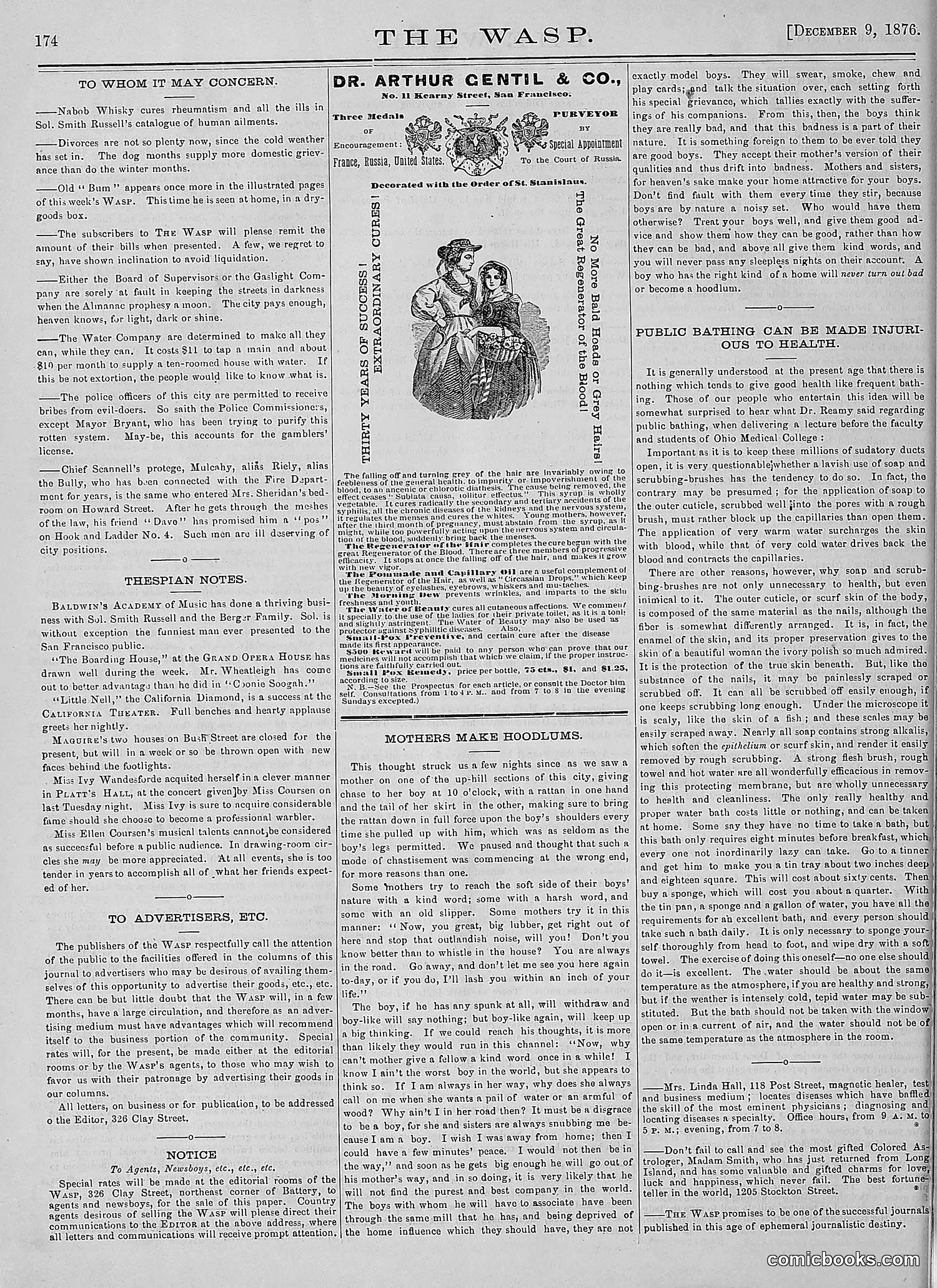 The Wasp — 1876 — page 187 of 230