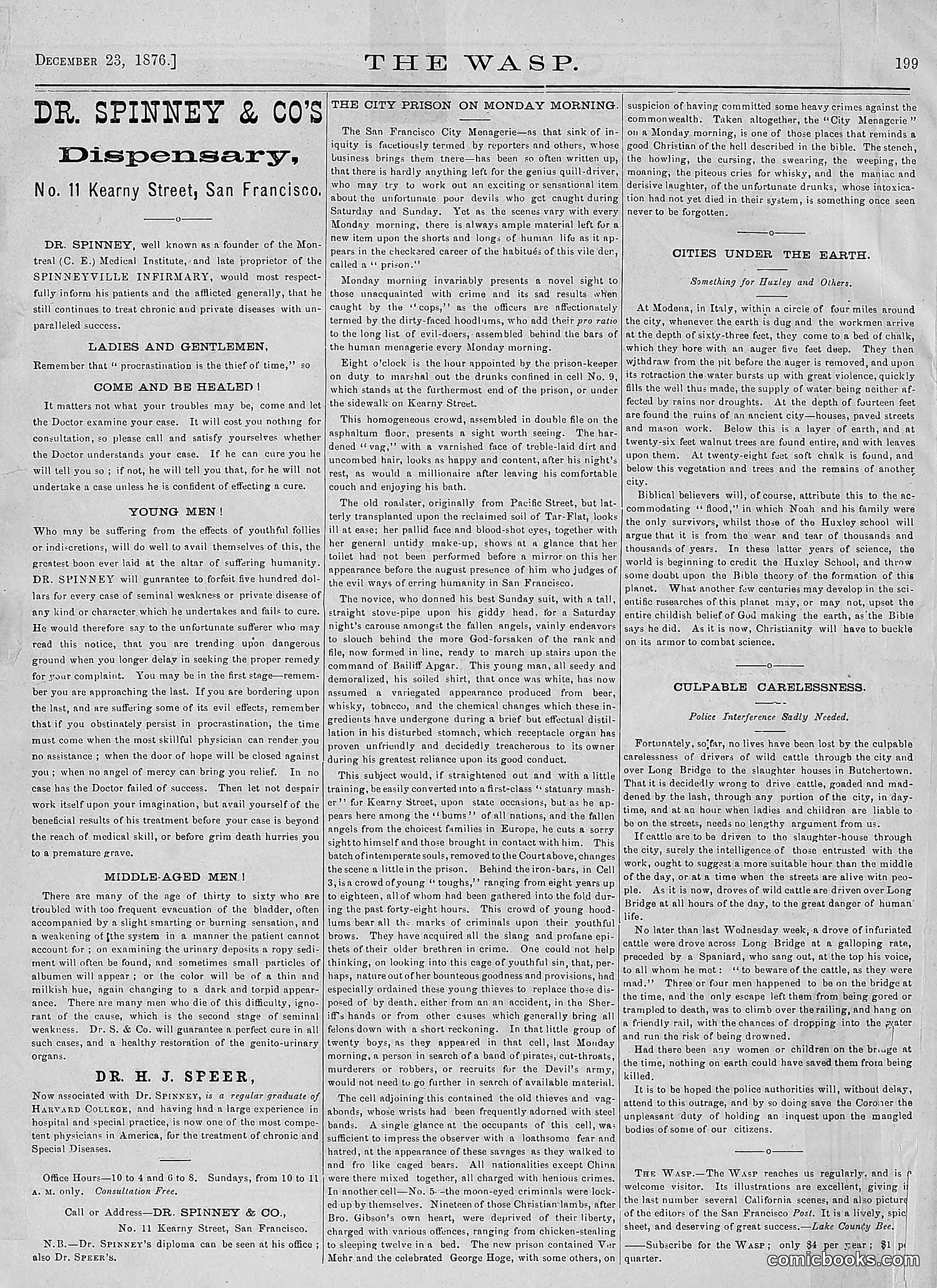 The Wasp — 1876 — page 205 of 230